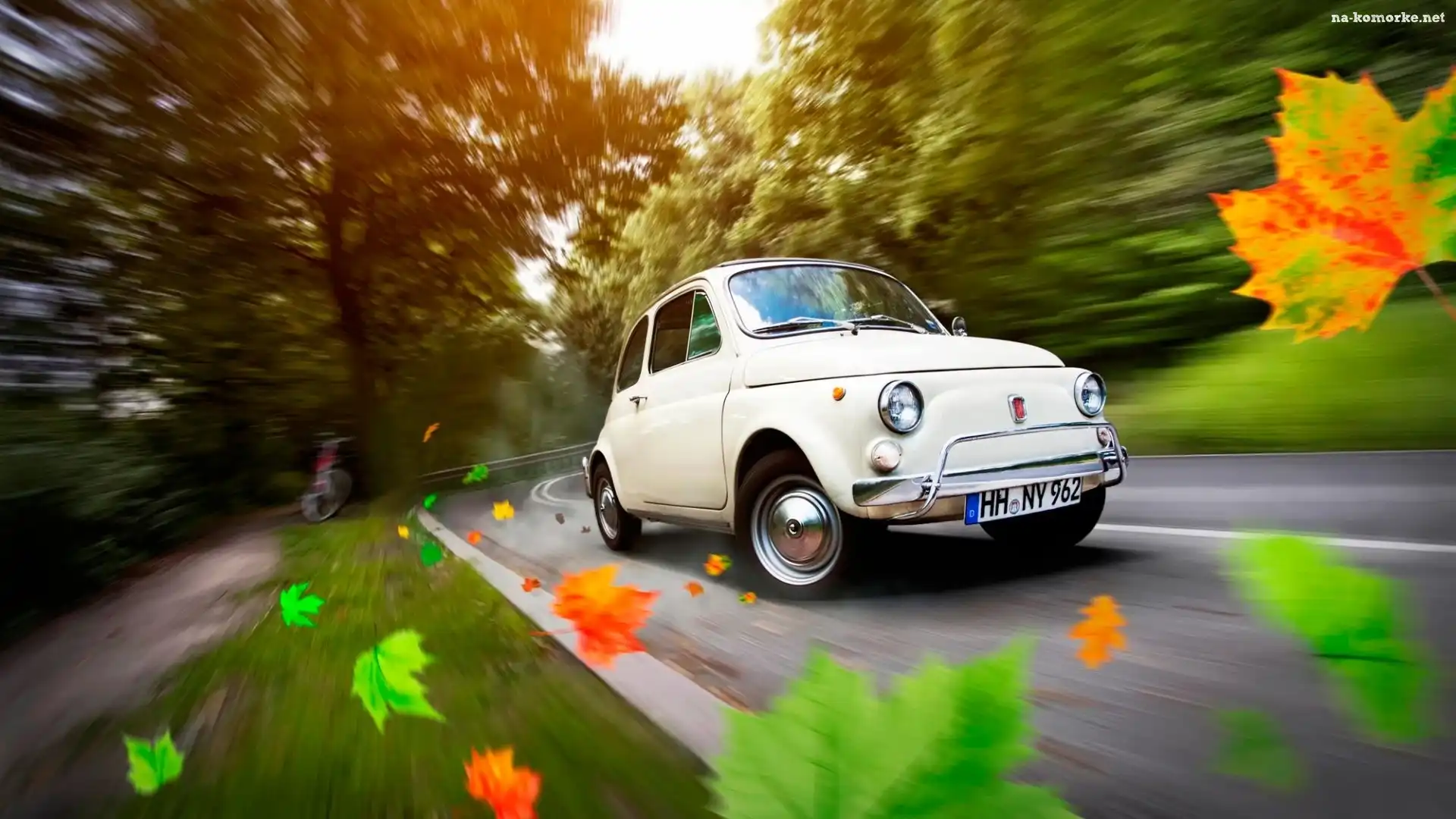Biały, Liście, Jesień, Samochód, Fiat, 500, Droga