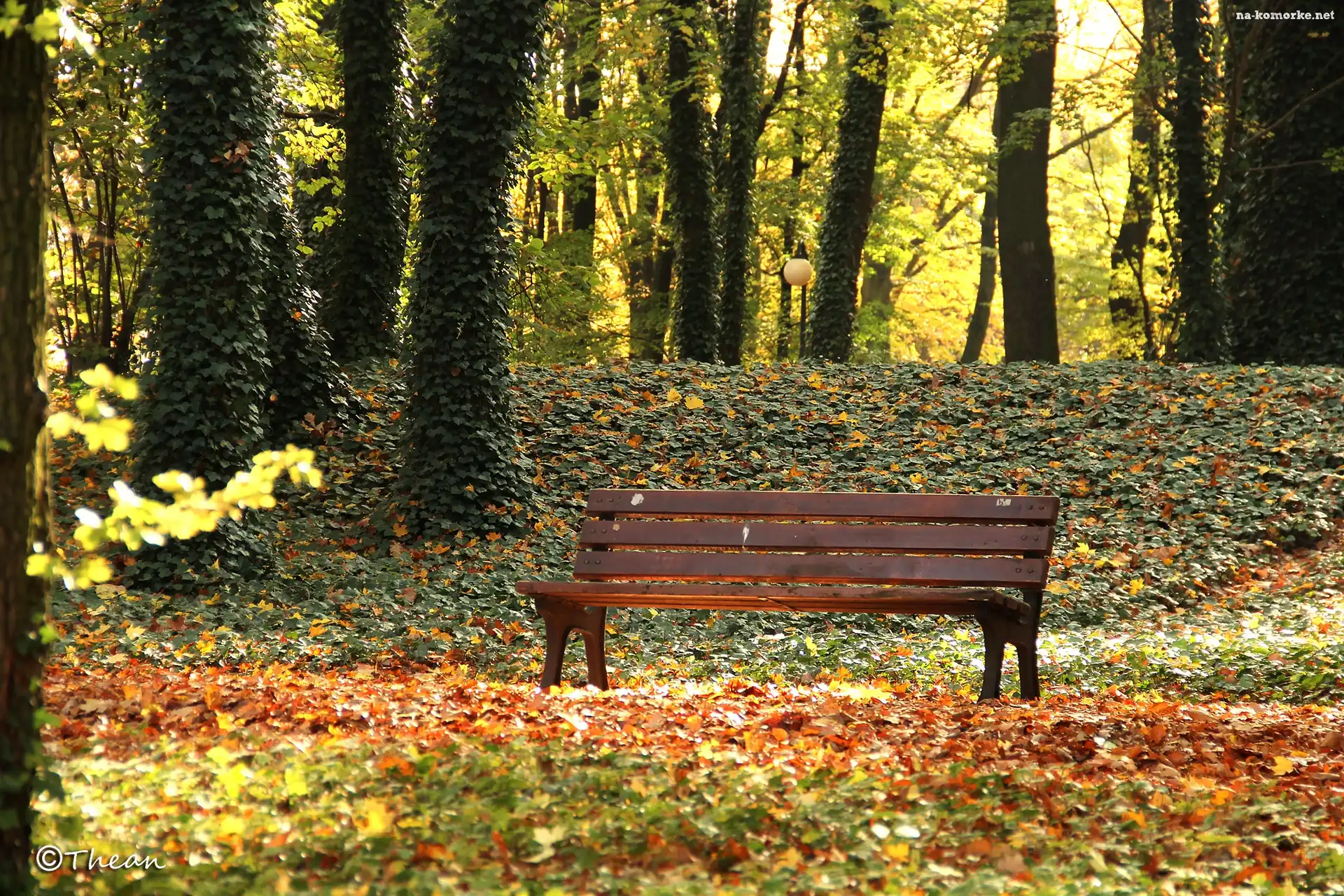 Liście, Park, Ławka, Drzewa, Jesień