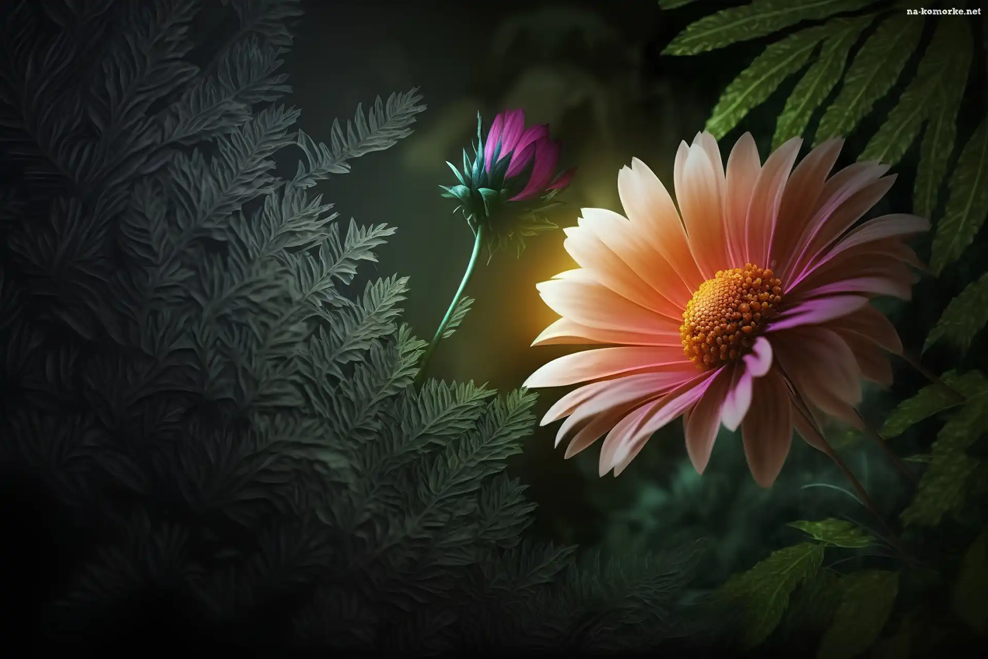 Kwiat, Liście, Grafika, Pąk, Gerbera