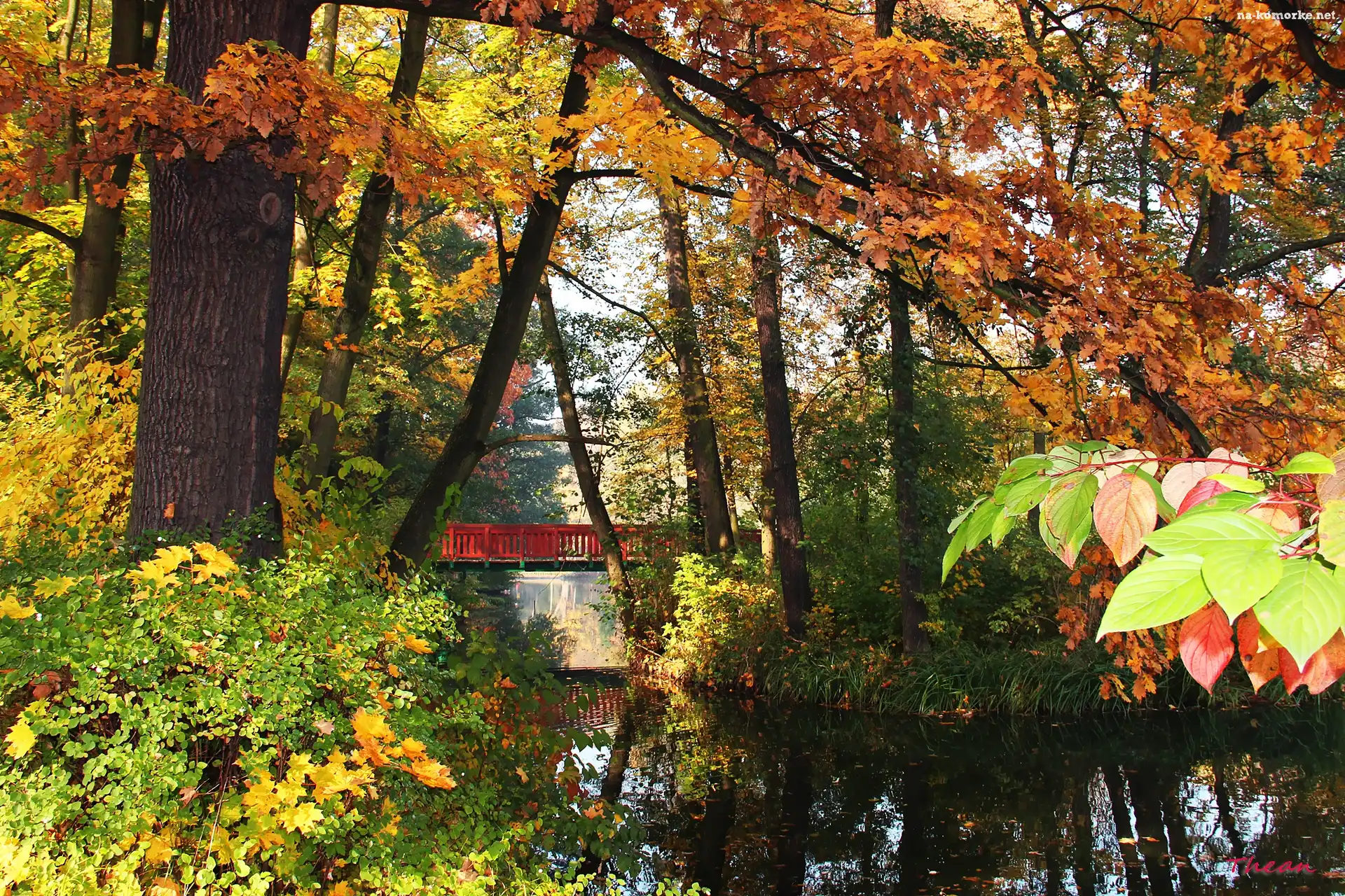 Liście, Jesień, Park, Jezoro, Kolorowe, Most