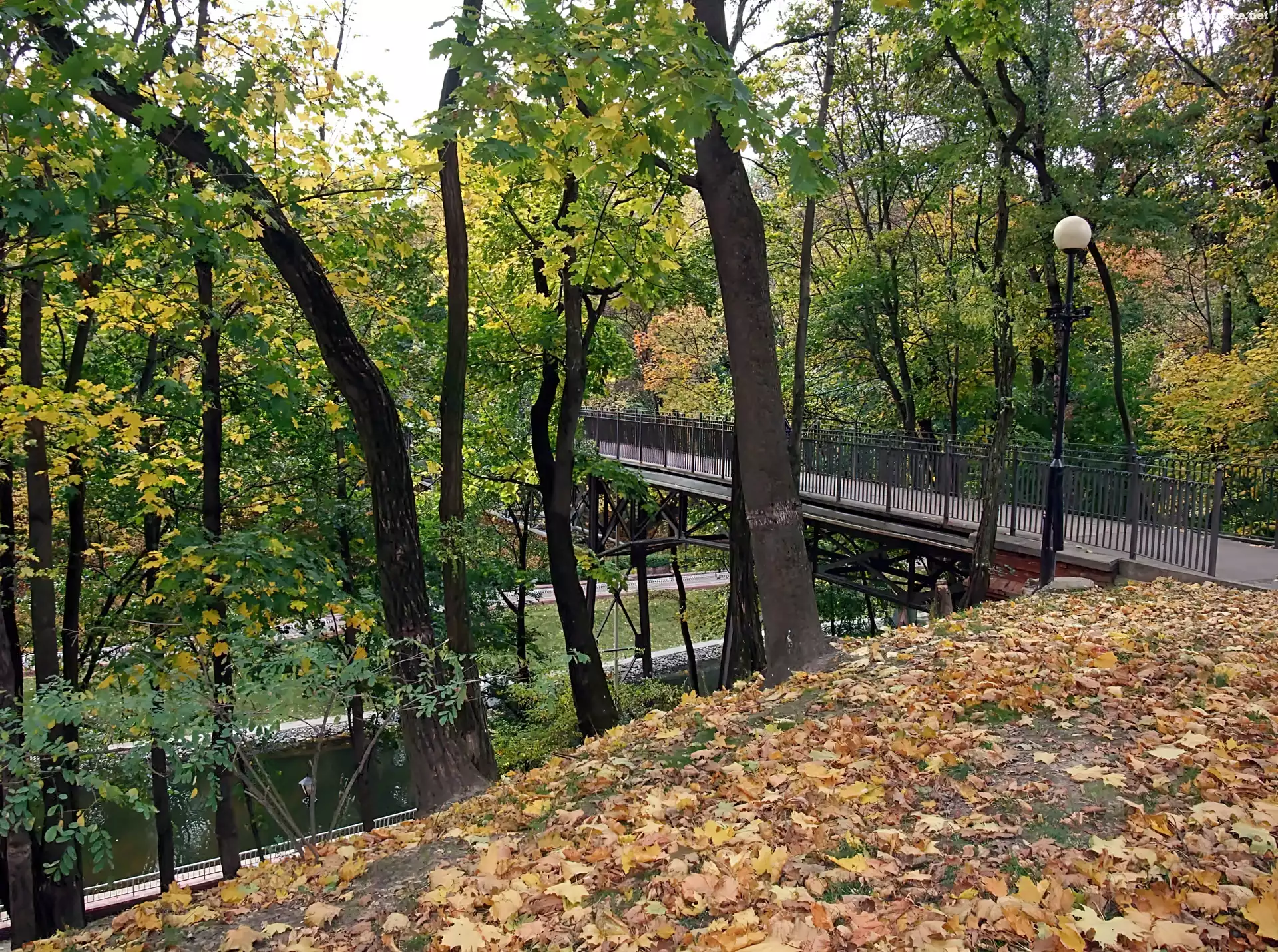 Liście, Park, Rzeczka, Most, Opadłe