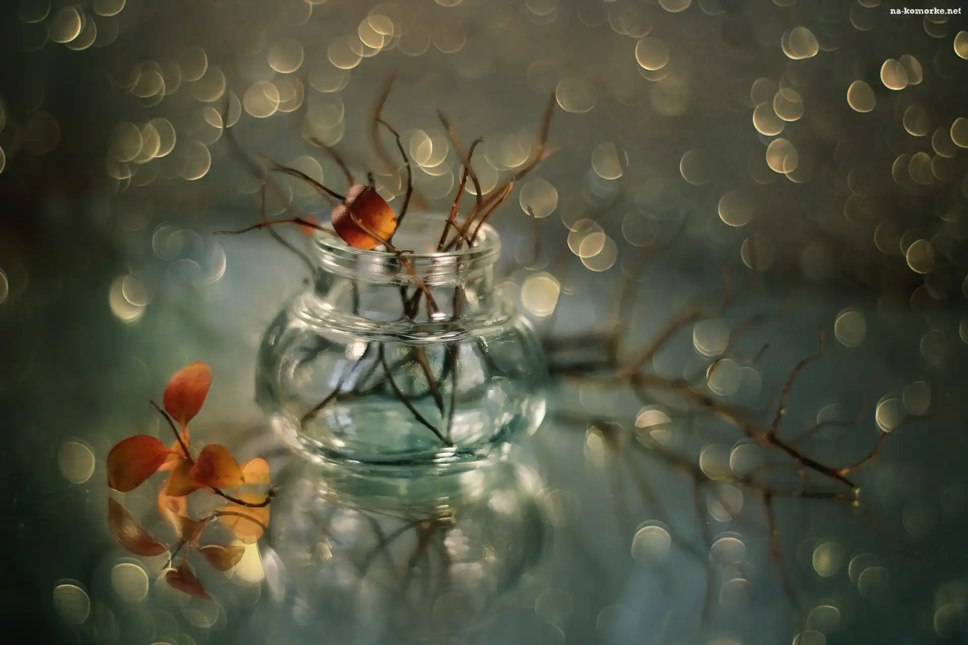 Listki, Suche, Gałązki, Wazonik, Bokeh