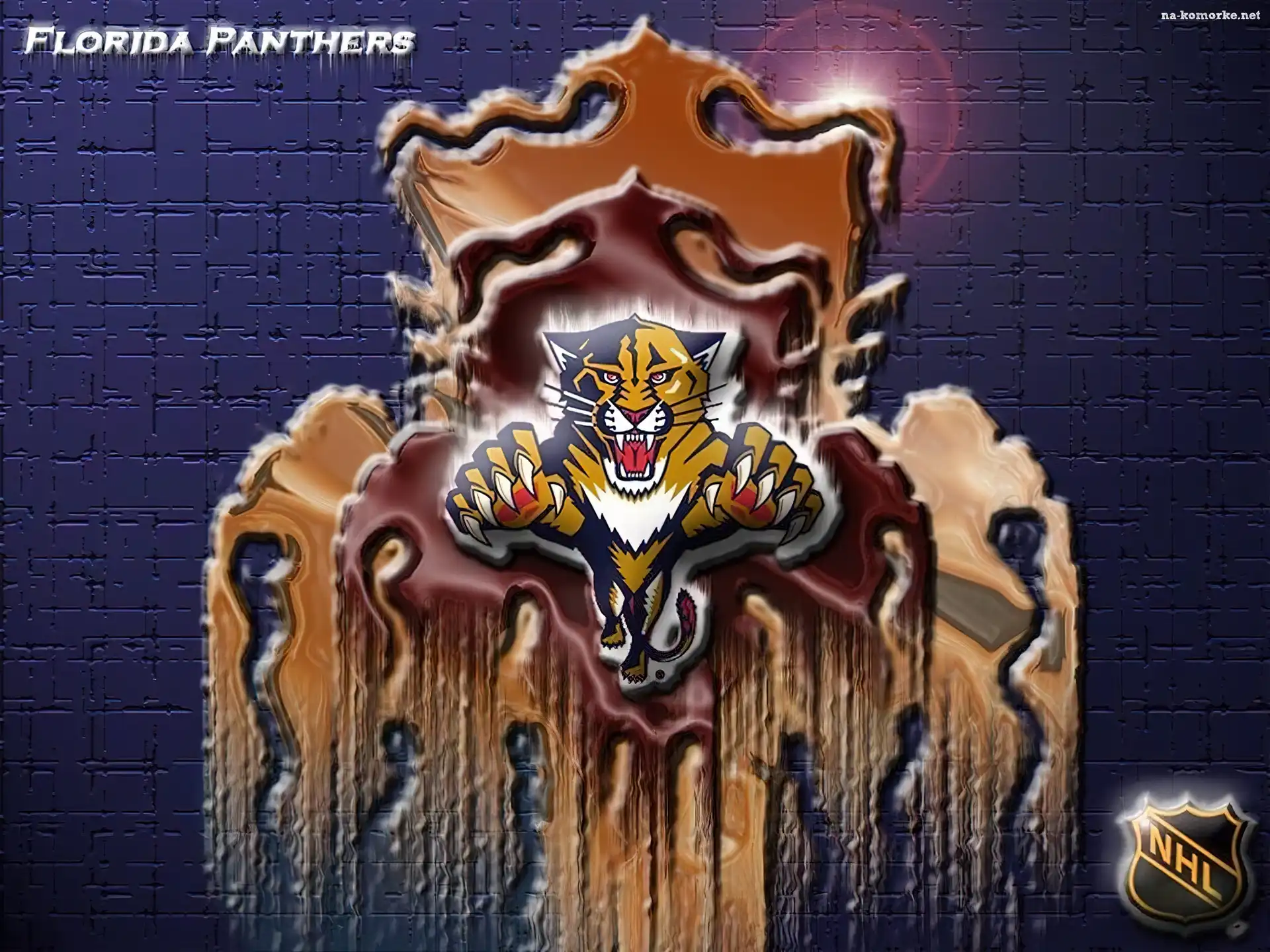 Logo, Florida Panthers, Drużyny, NHL