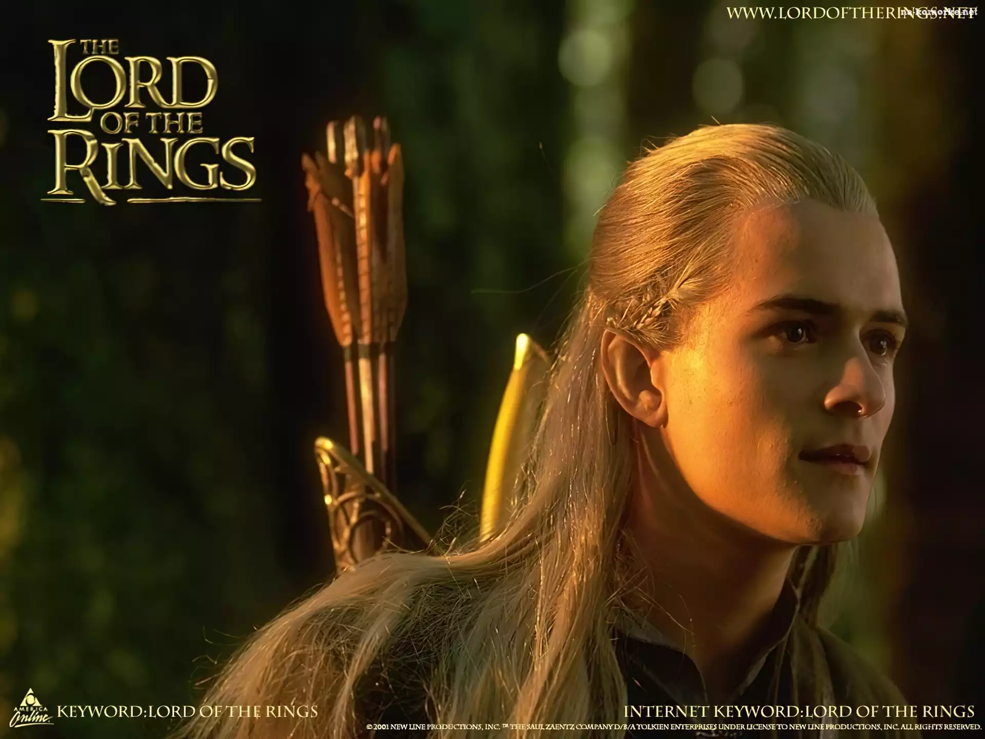 The Lord of The Rings, napis, blondyn, strzały