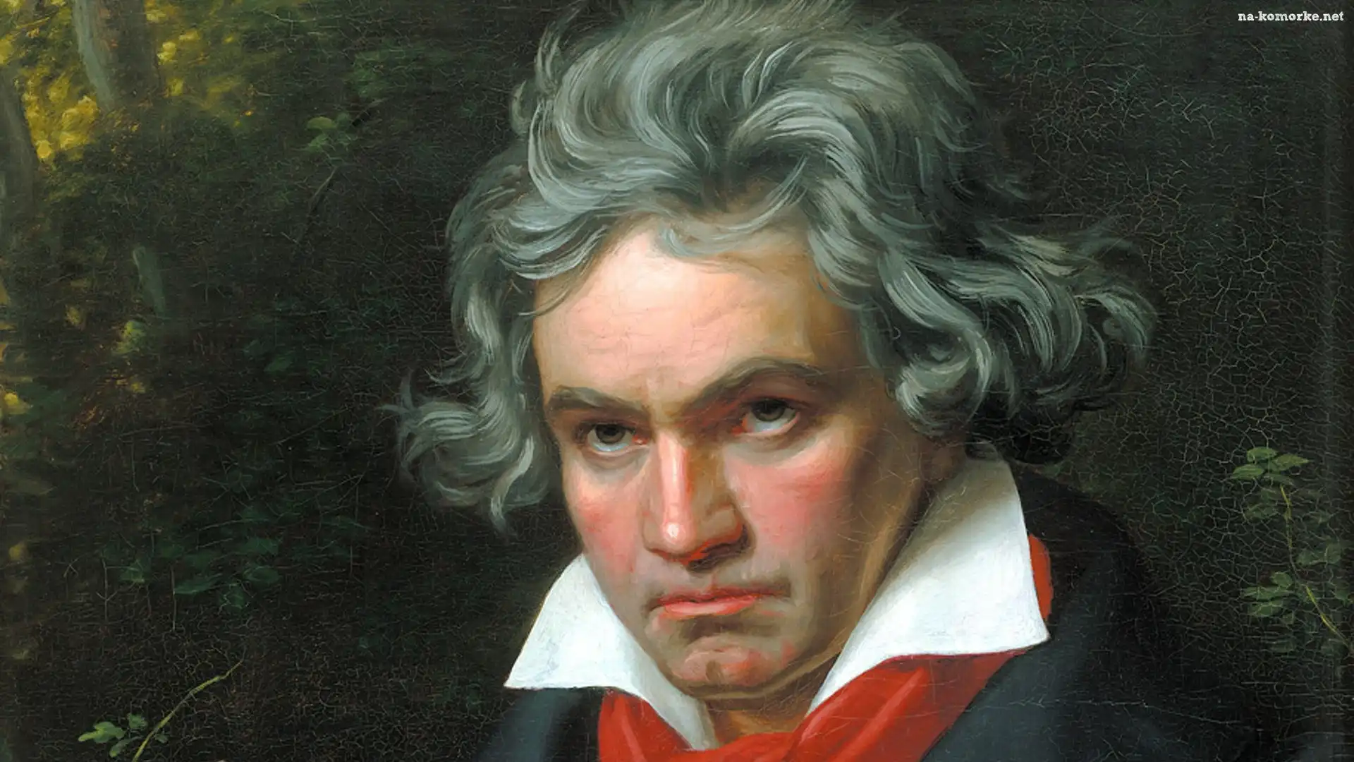 Ludwig Van Beethoven, Kompozytor, Portret, Obraz