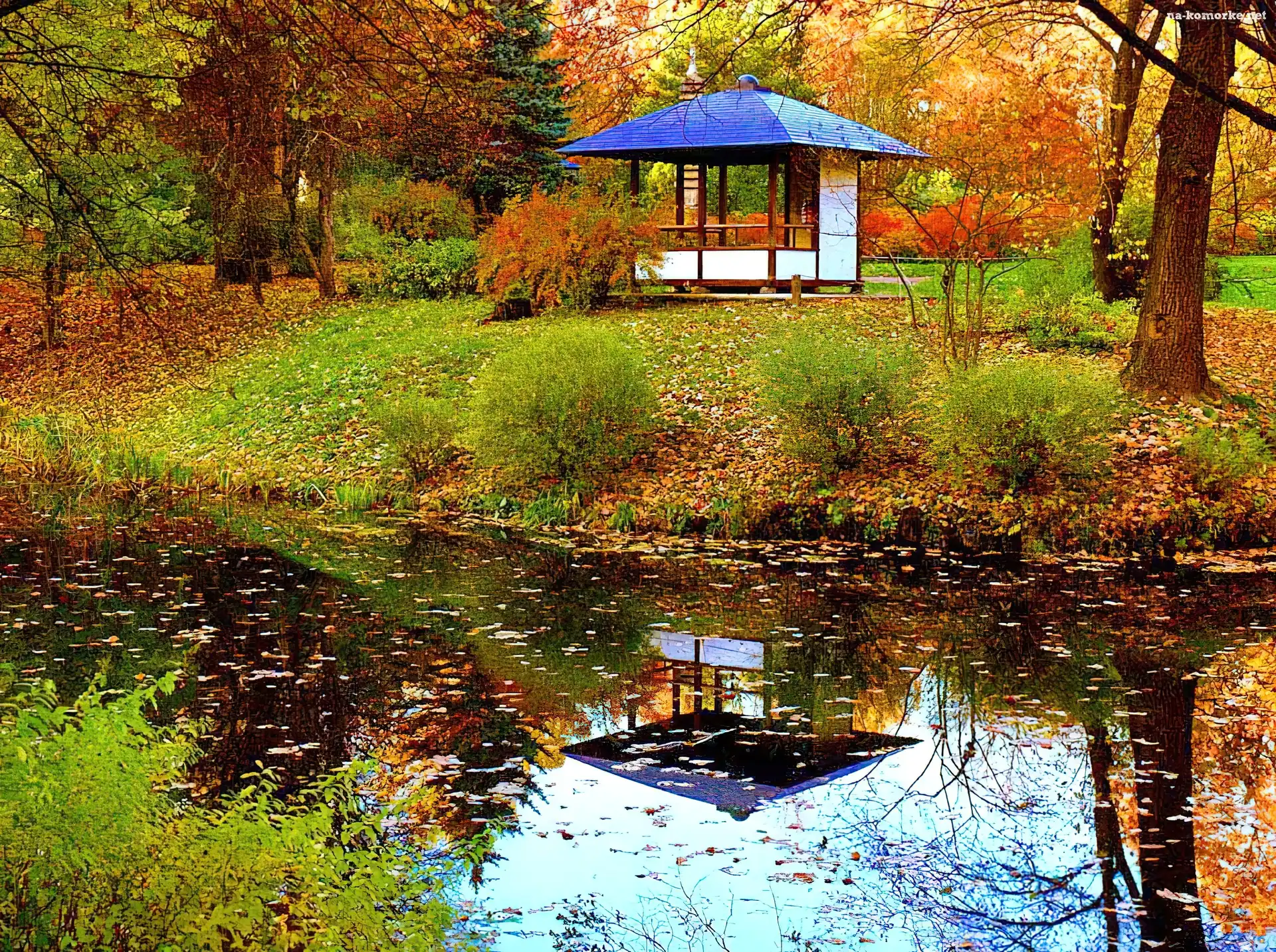 Lustrzane, Jesień, Park, Rzeka, Odbicie