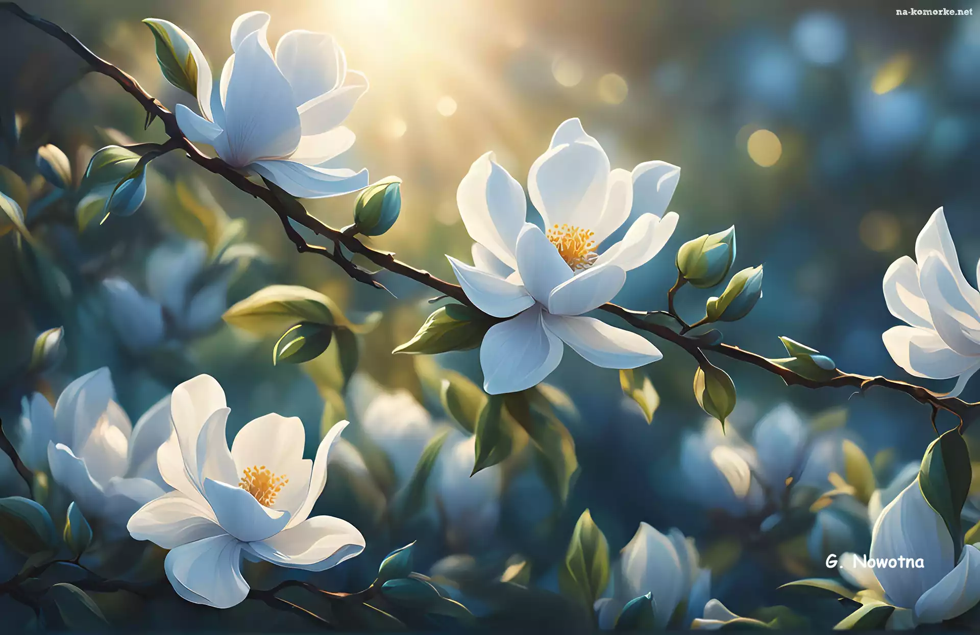 Magnolie, Grafika, Kwiaty