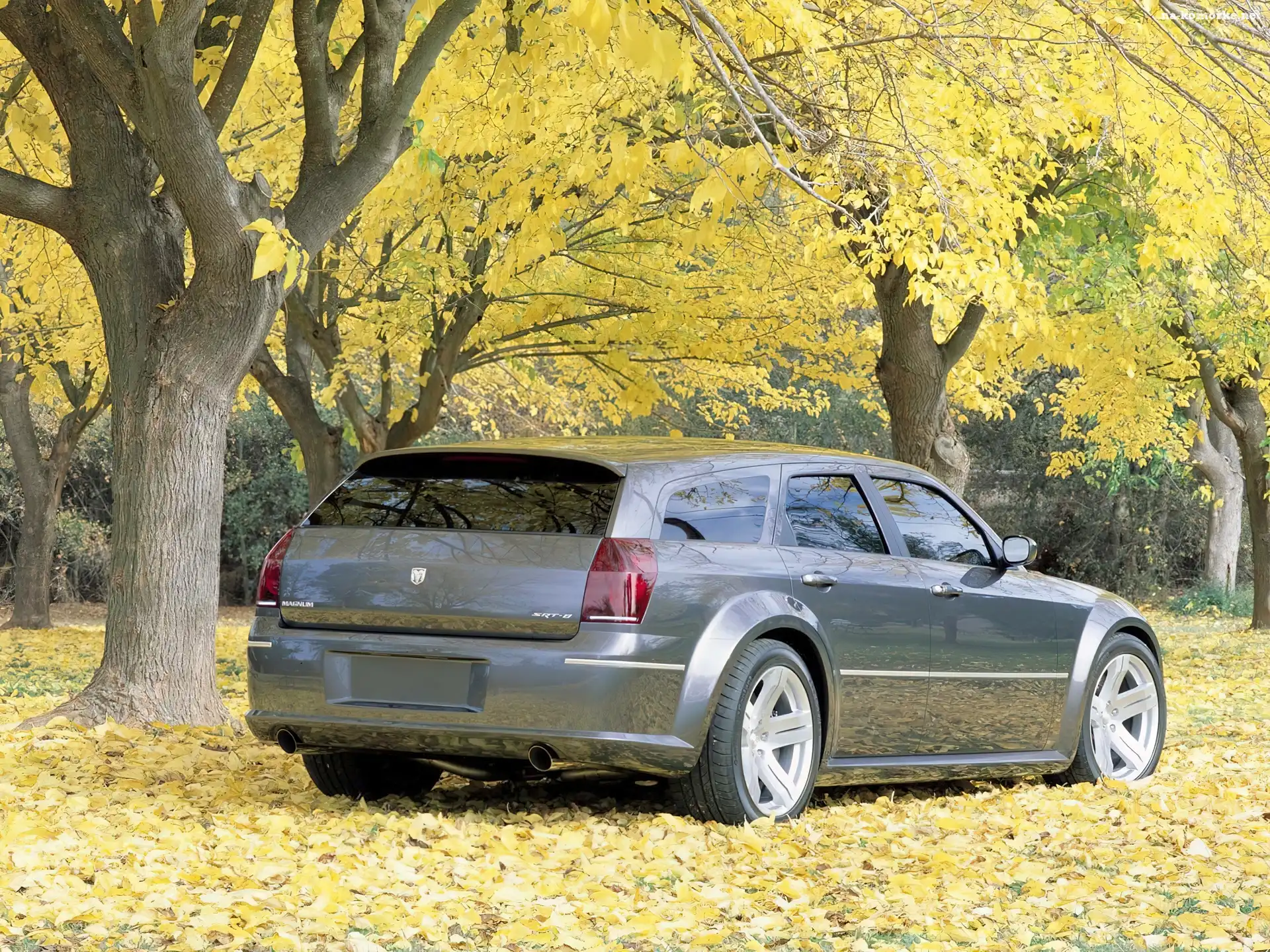 Dodge Magnum, Drzewa