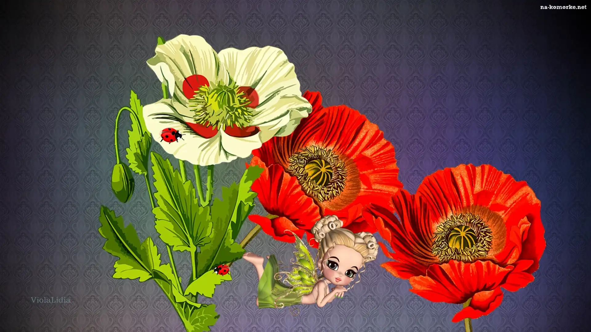 Grafika, Maki, Laleczka
