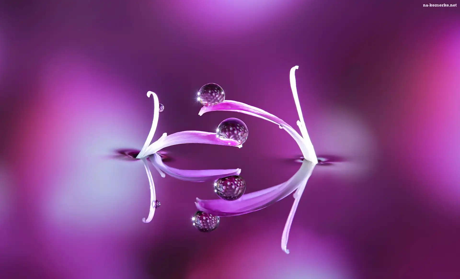 Makro, Krople