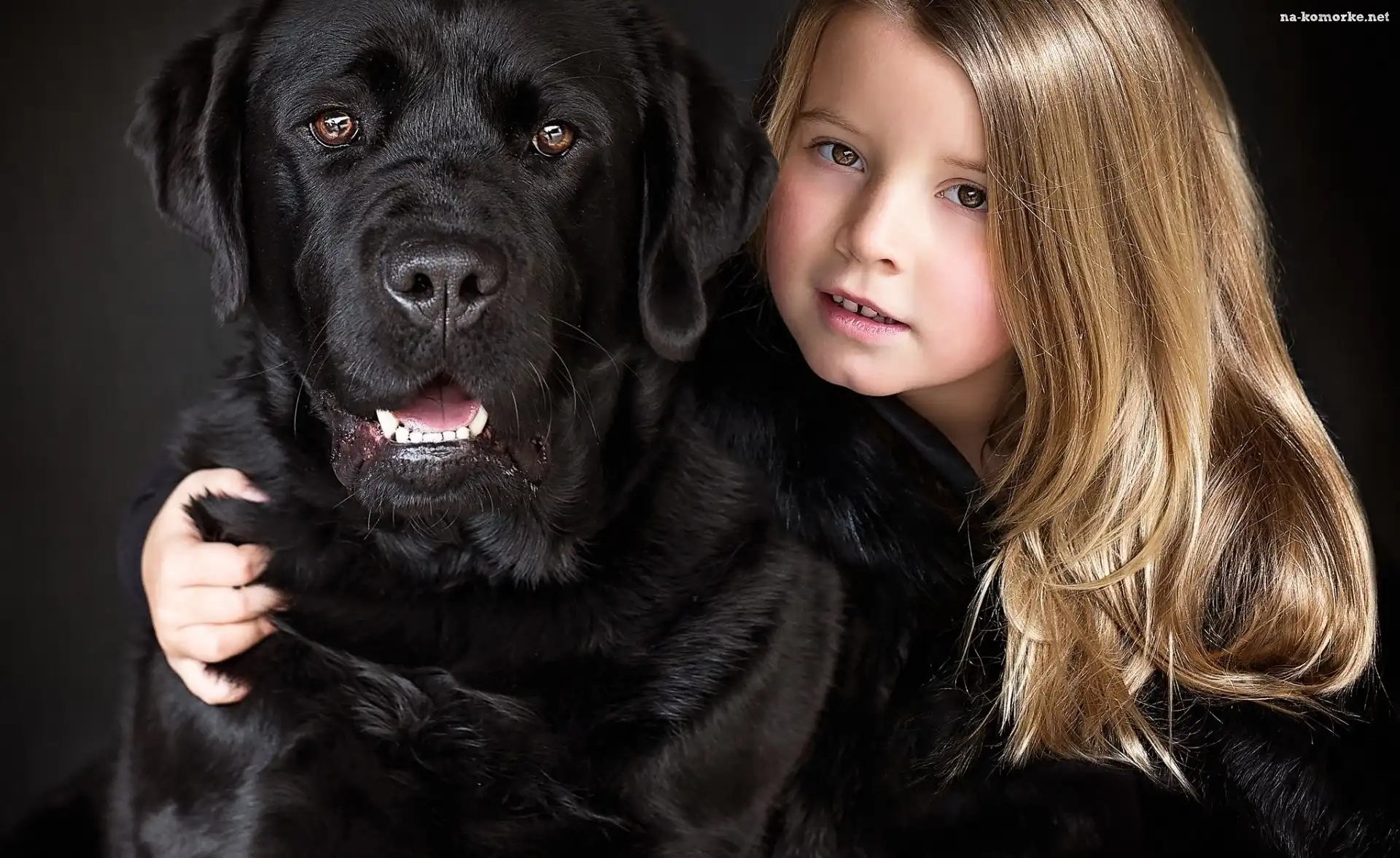 Mała, Labrador Retriever, Dziewczynka, Pies