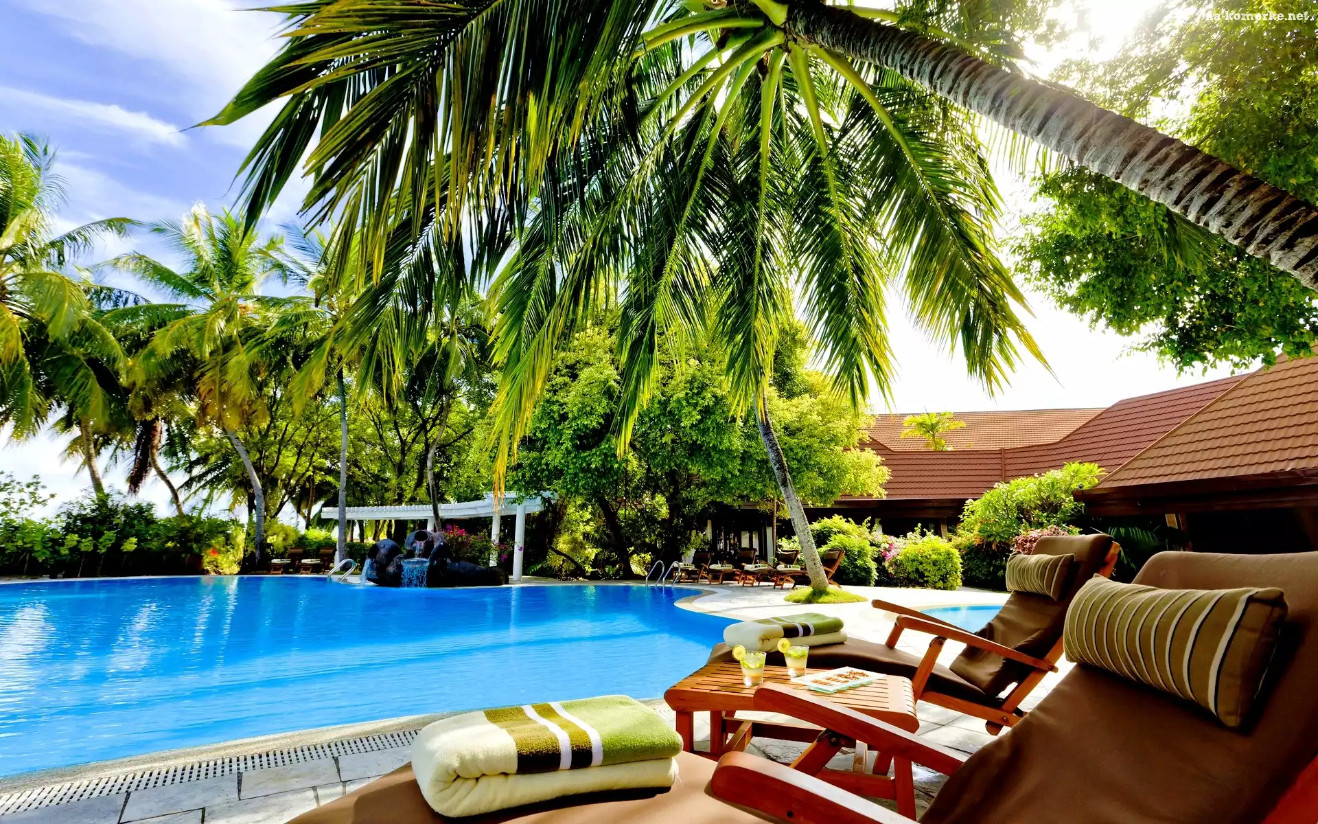 Malezja, Palmy, Hotel, Basen