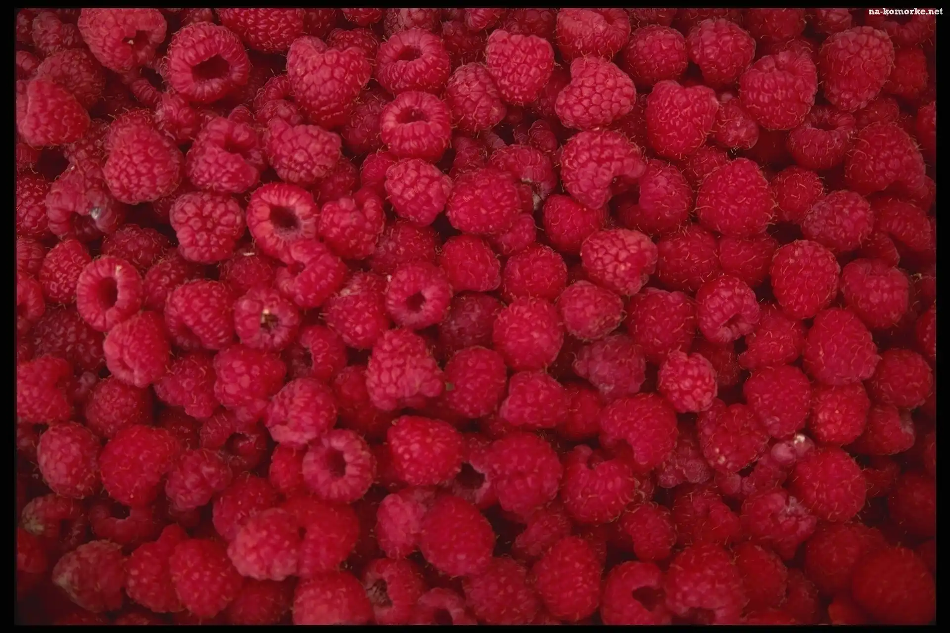Maliny