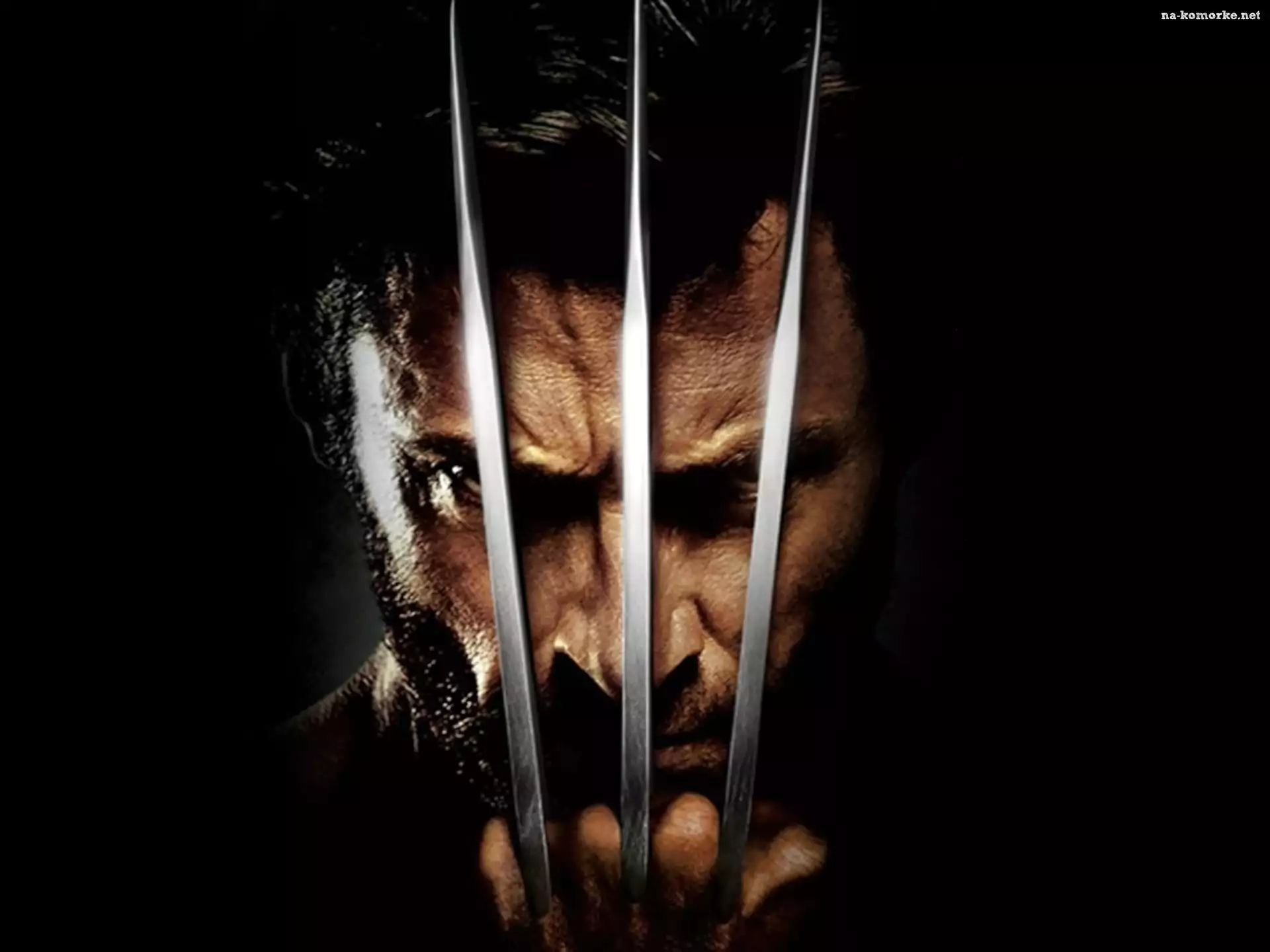 X-Man, Wolverine
