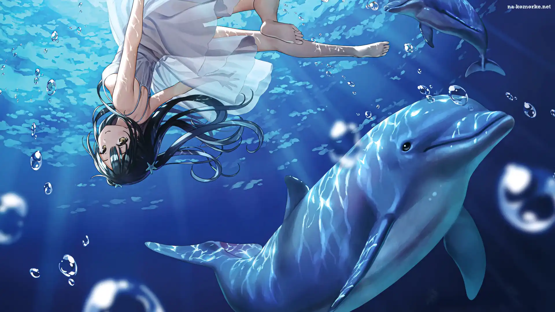 Nagisha, Manga Anime, Delfin, Woda