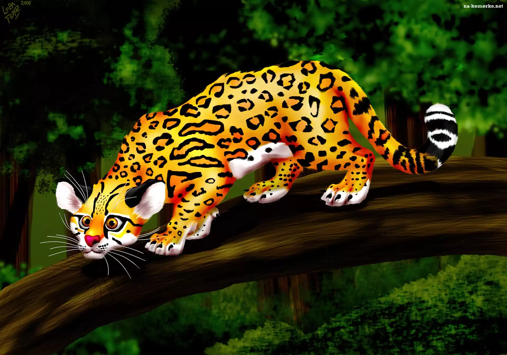 ZwierzÄ…tko, Margay, Rysunek