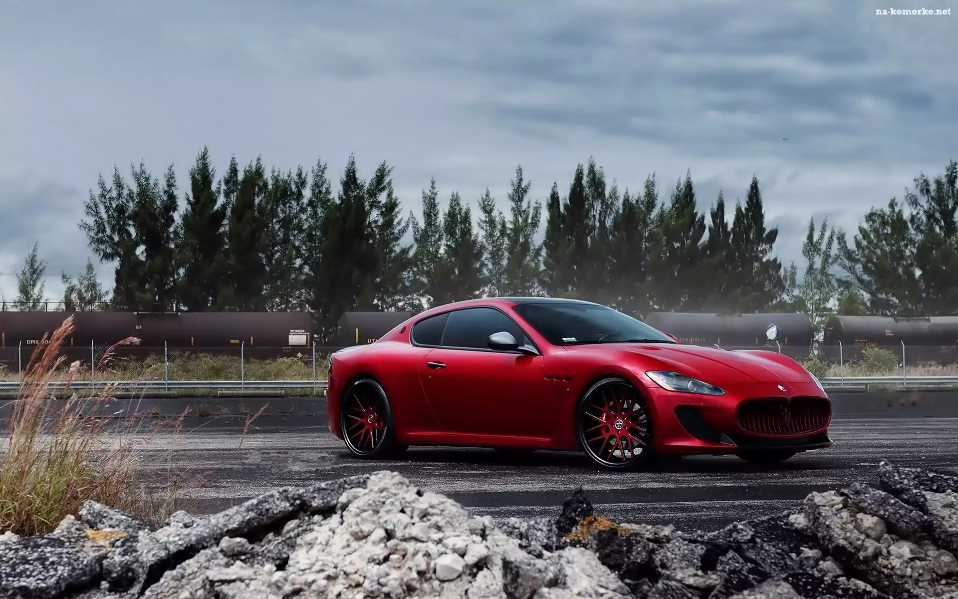 Maserati, Gran Turismo, Drzewa