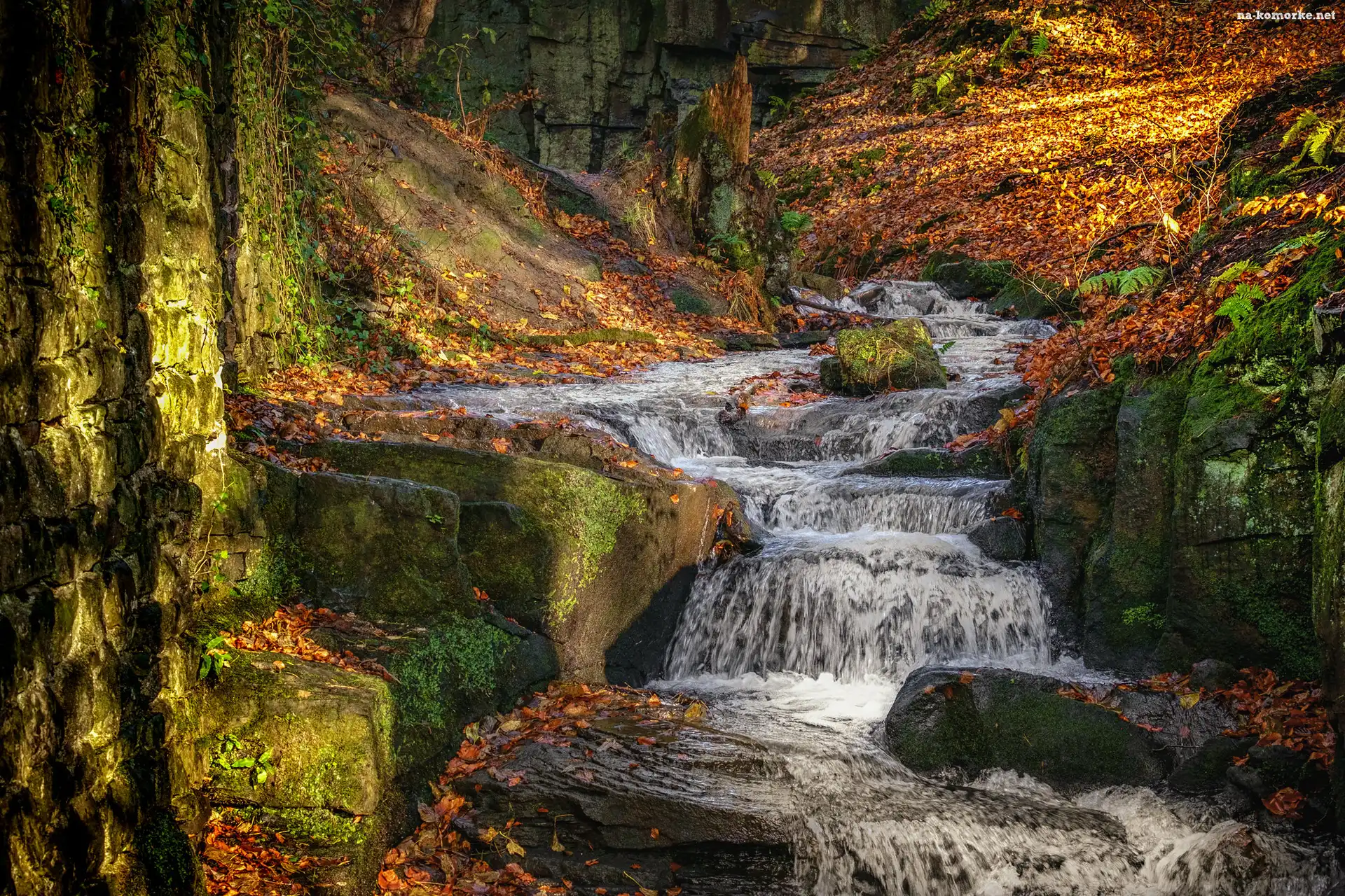 Kolorowe, Potok, Skały, Las, Jesień, Lumsdale Waterfall, Wodospad, Drzewa, Matlock, Anglia, Liście