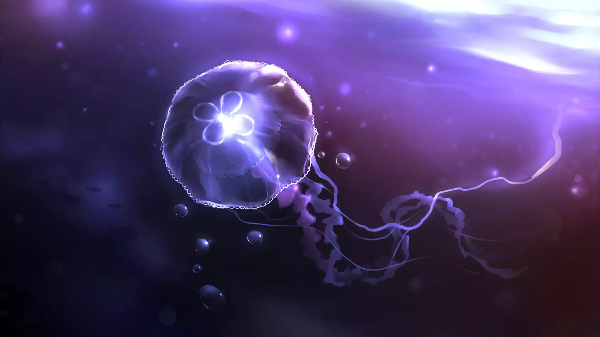 Meduza, Woda