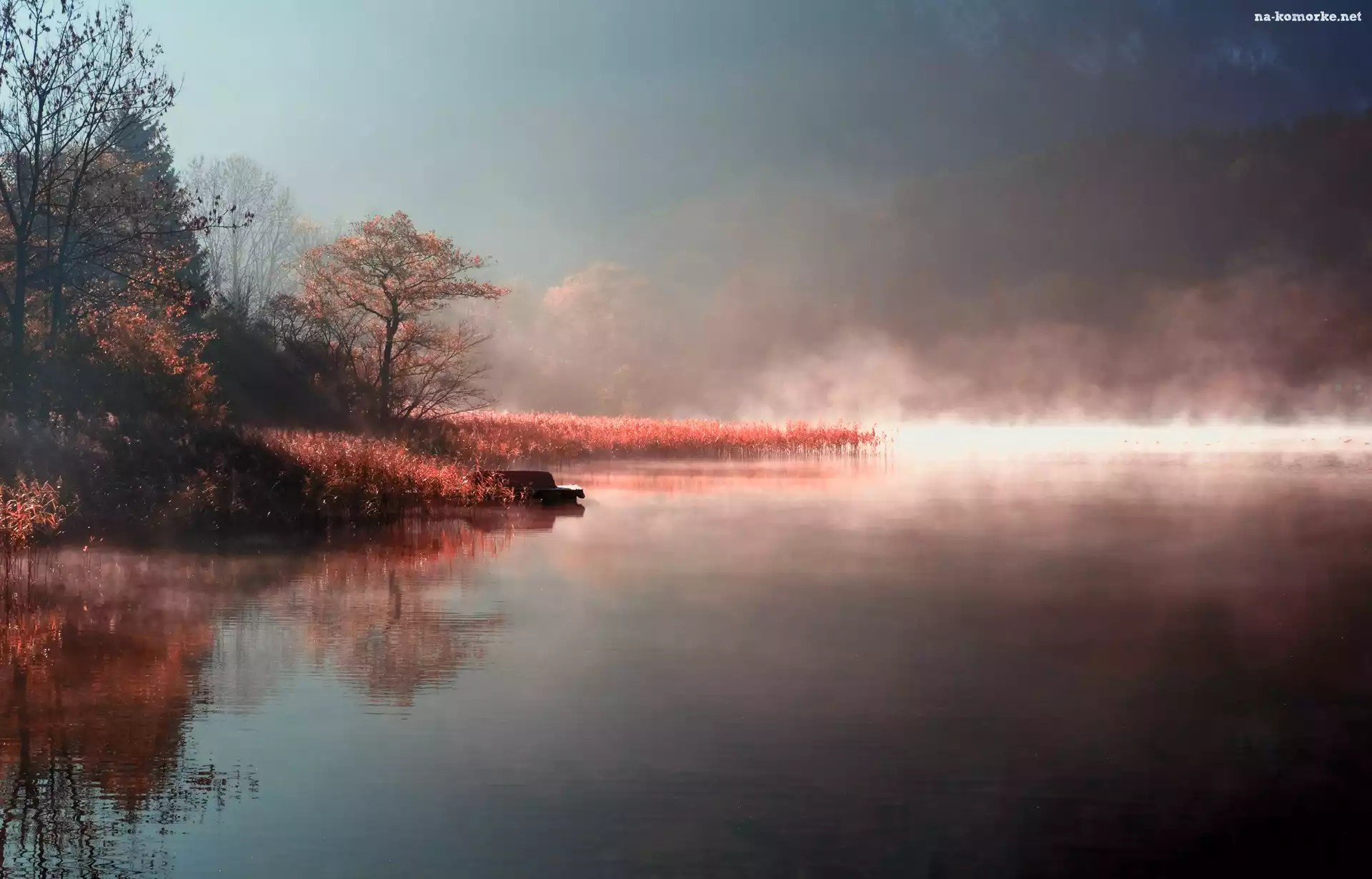 Jezioro, Mgła, Drzewa