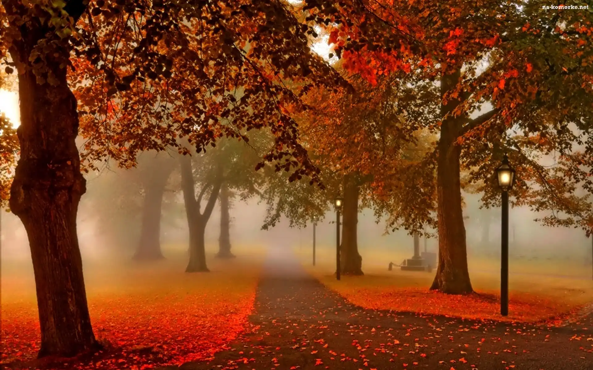 Mgła, Alejki, Park, Jesień, Latarnie, Liście