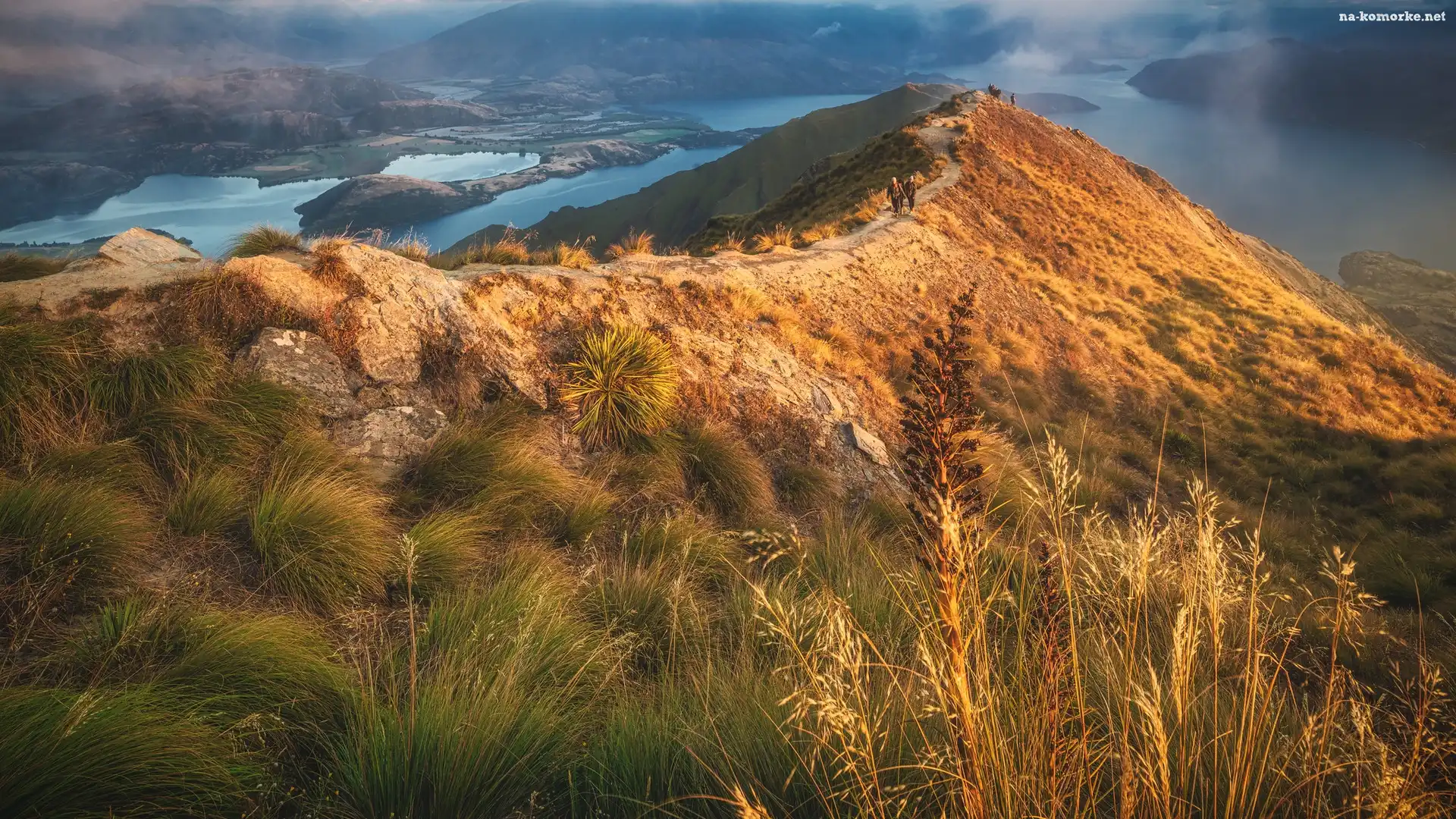 Mgła, Nowa Zelandia, Jezioro Wanaka, Roślinność, Roys Peak, Gory