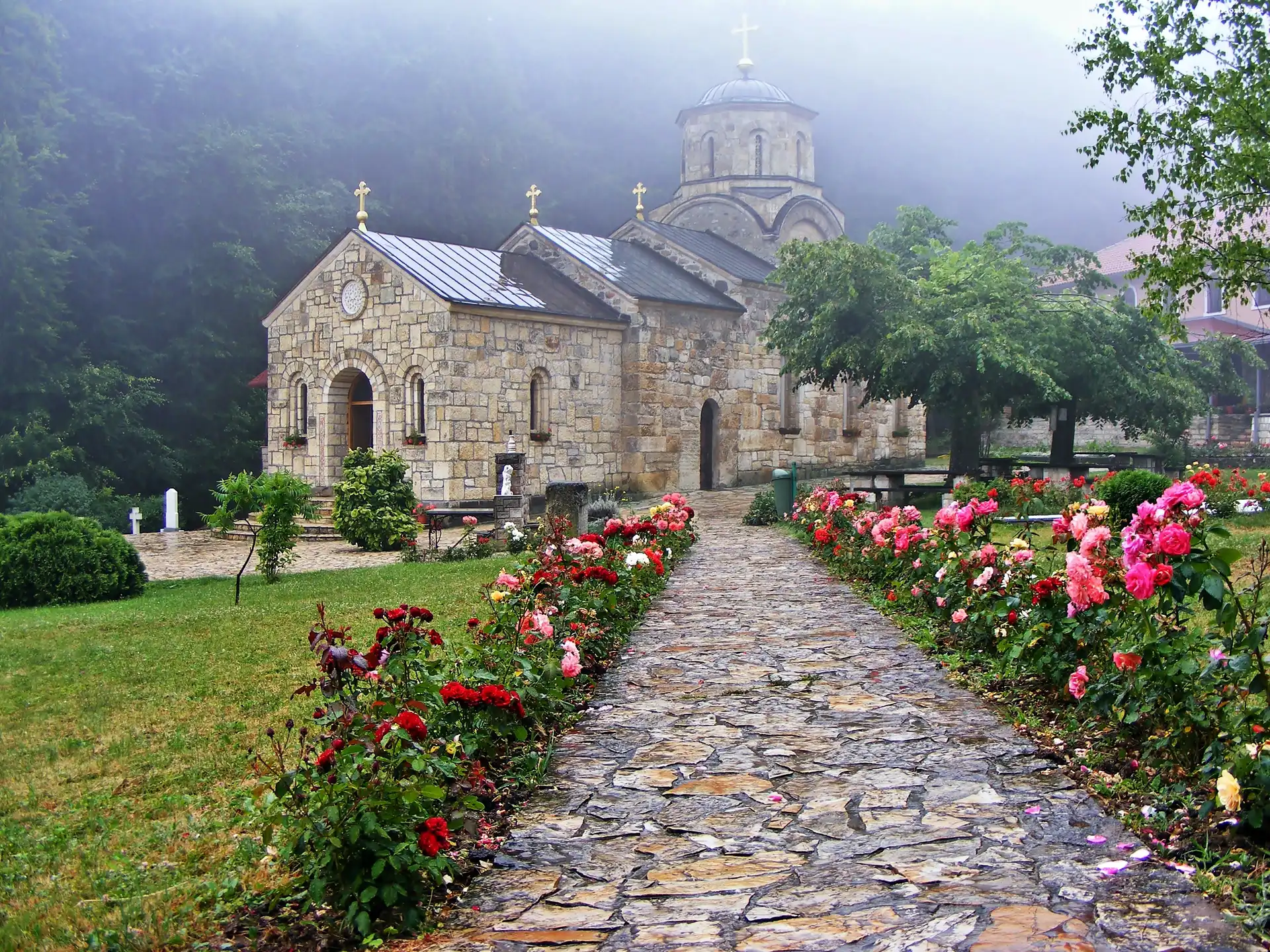 Mgła, Cerkiew, Aleja, Róże, Drzewa