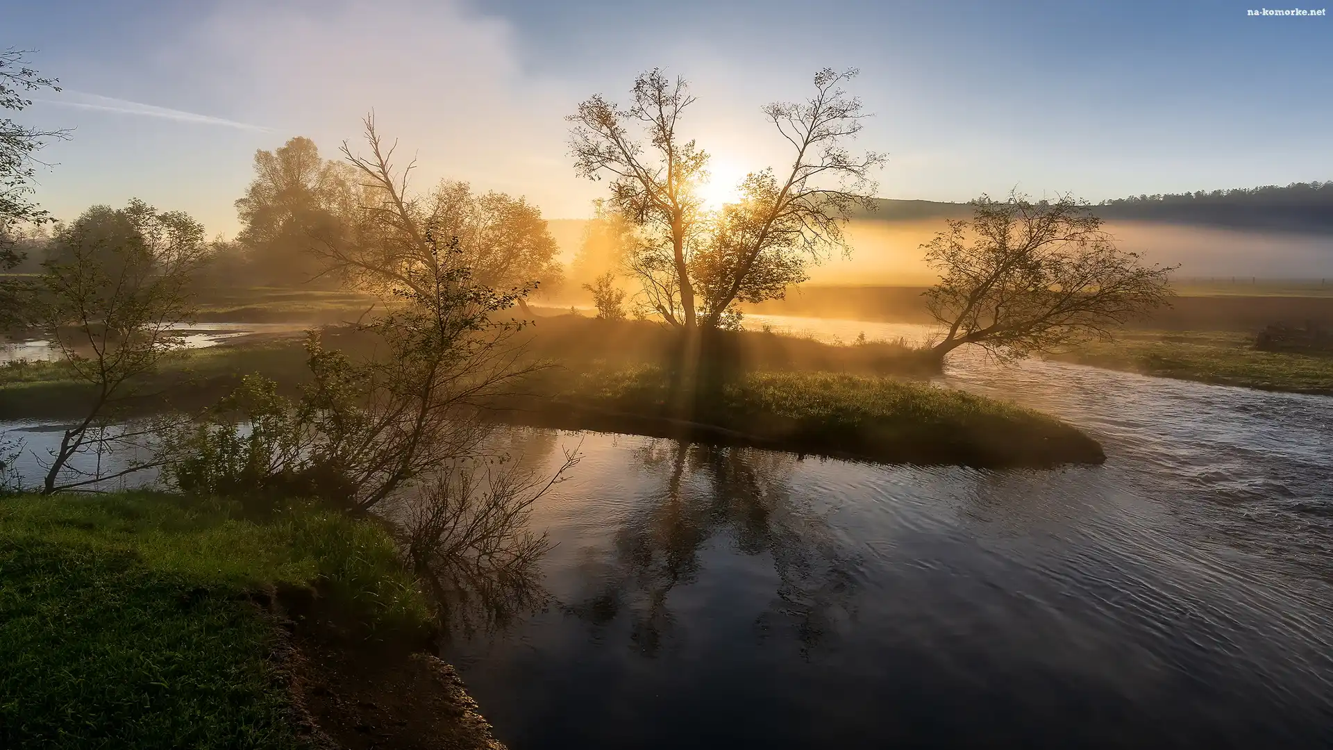 Mgła, Rzeka, Drzewa, Wschód słońca, Poranek