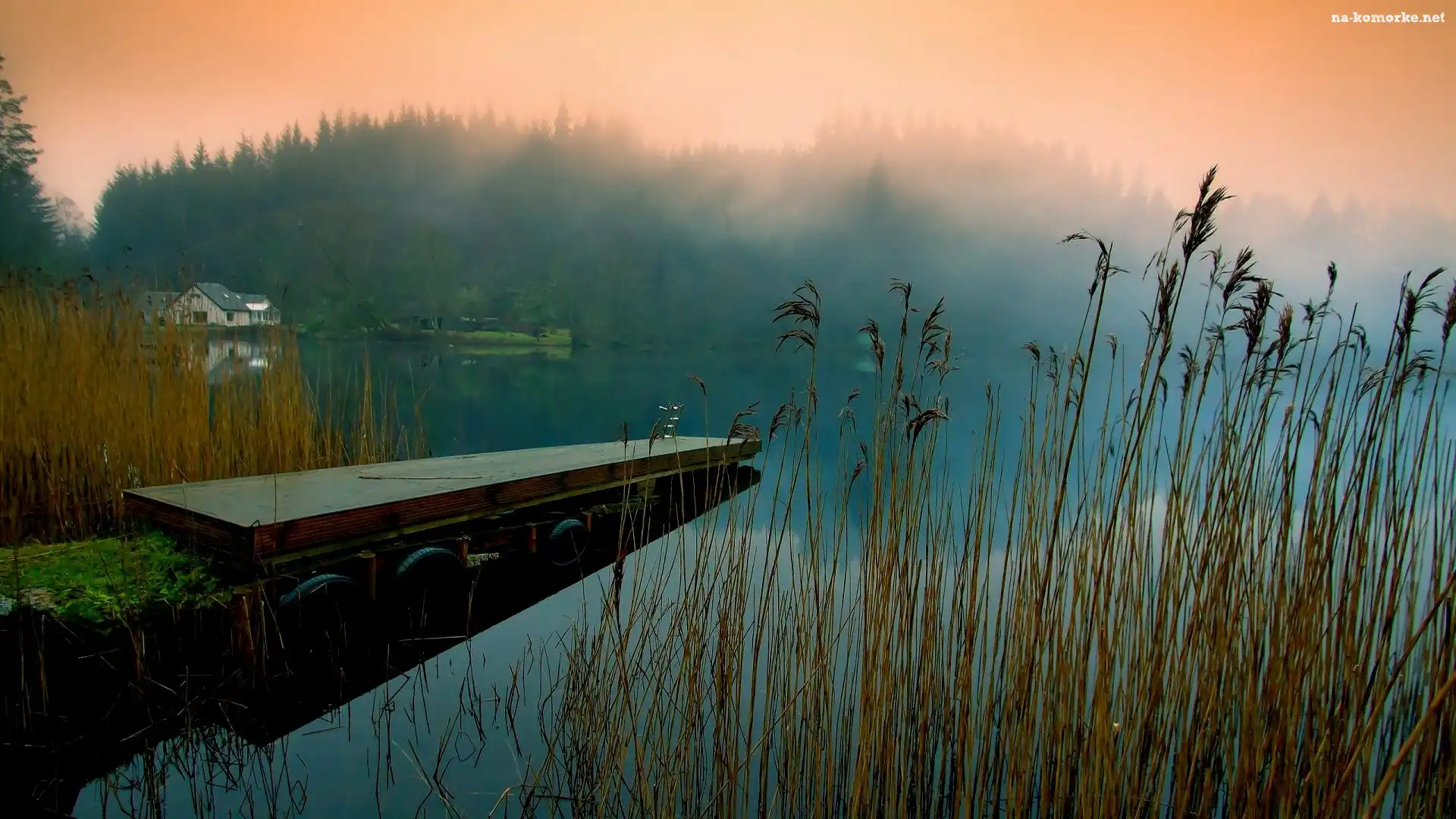 Mgle, Jezioro, Pomost, Las, We