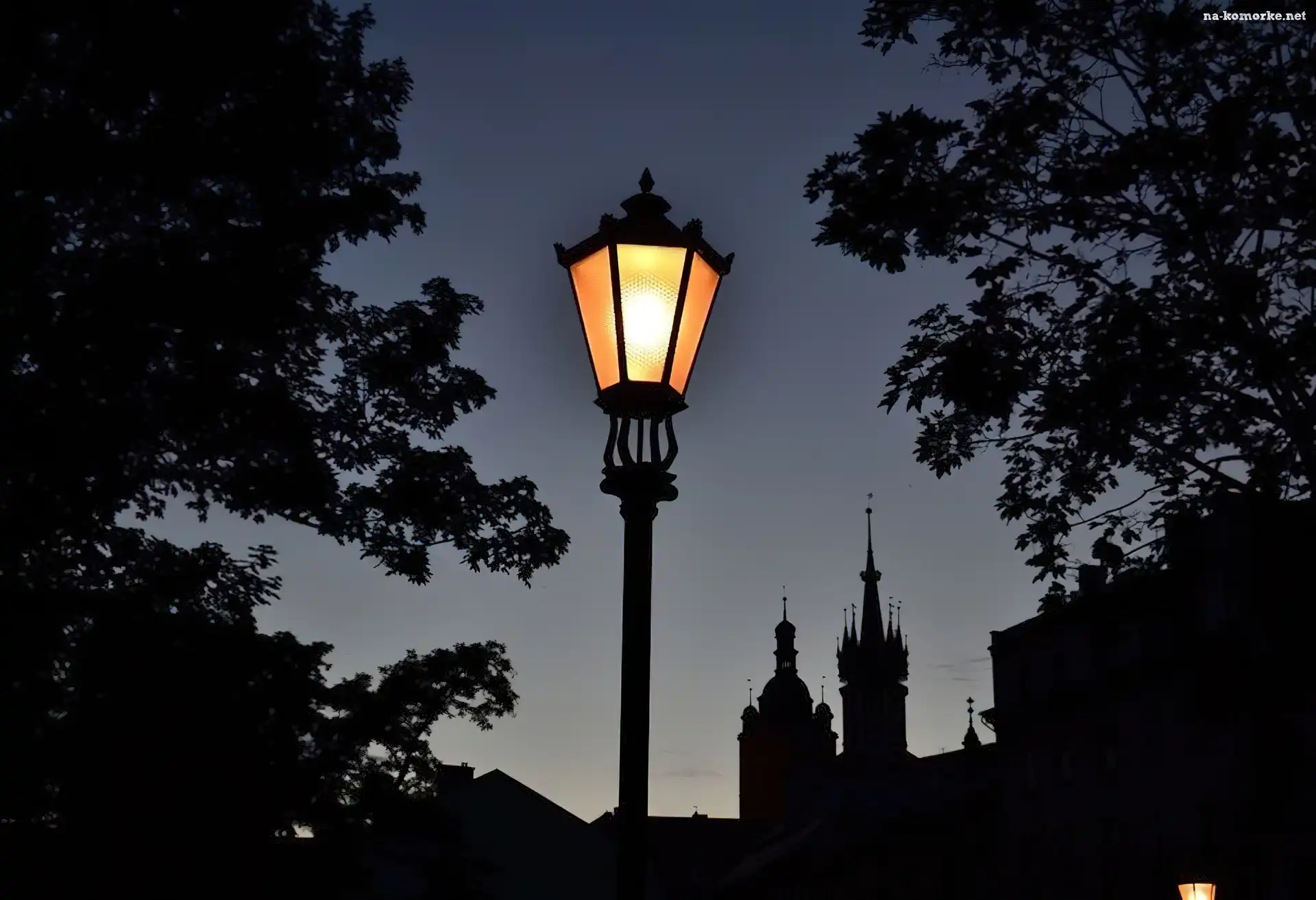 Miasto, Drzewa, Noc, Latarnia
