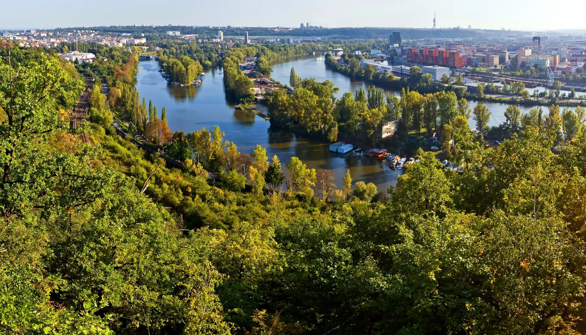 Miasto, Panorama, Rzeka, Drzewa