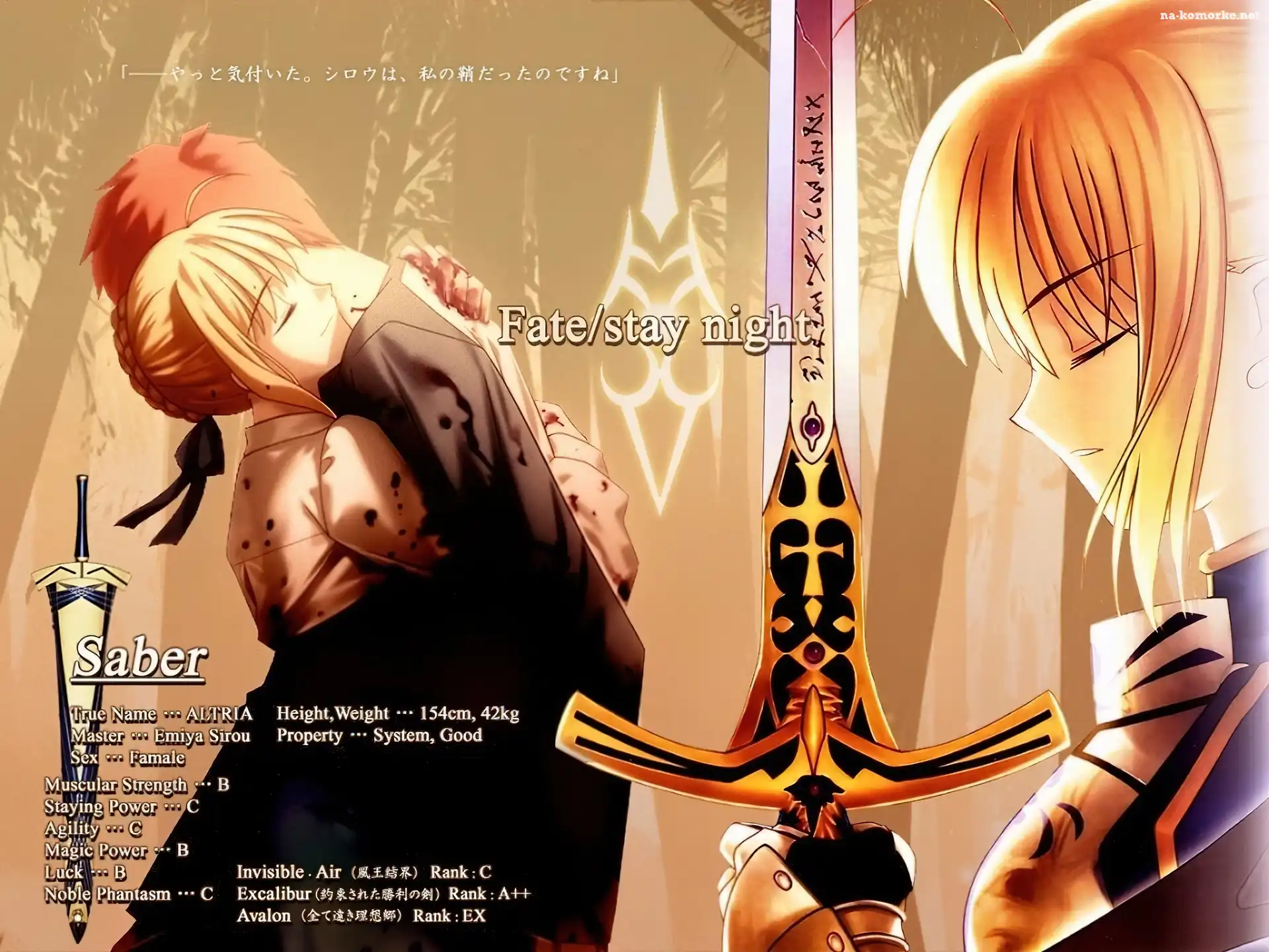 kobieta, ludzie, miecz, Fate Stay Night