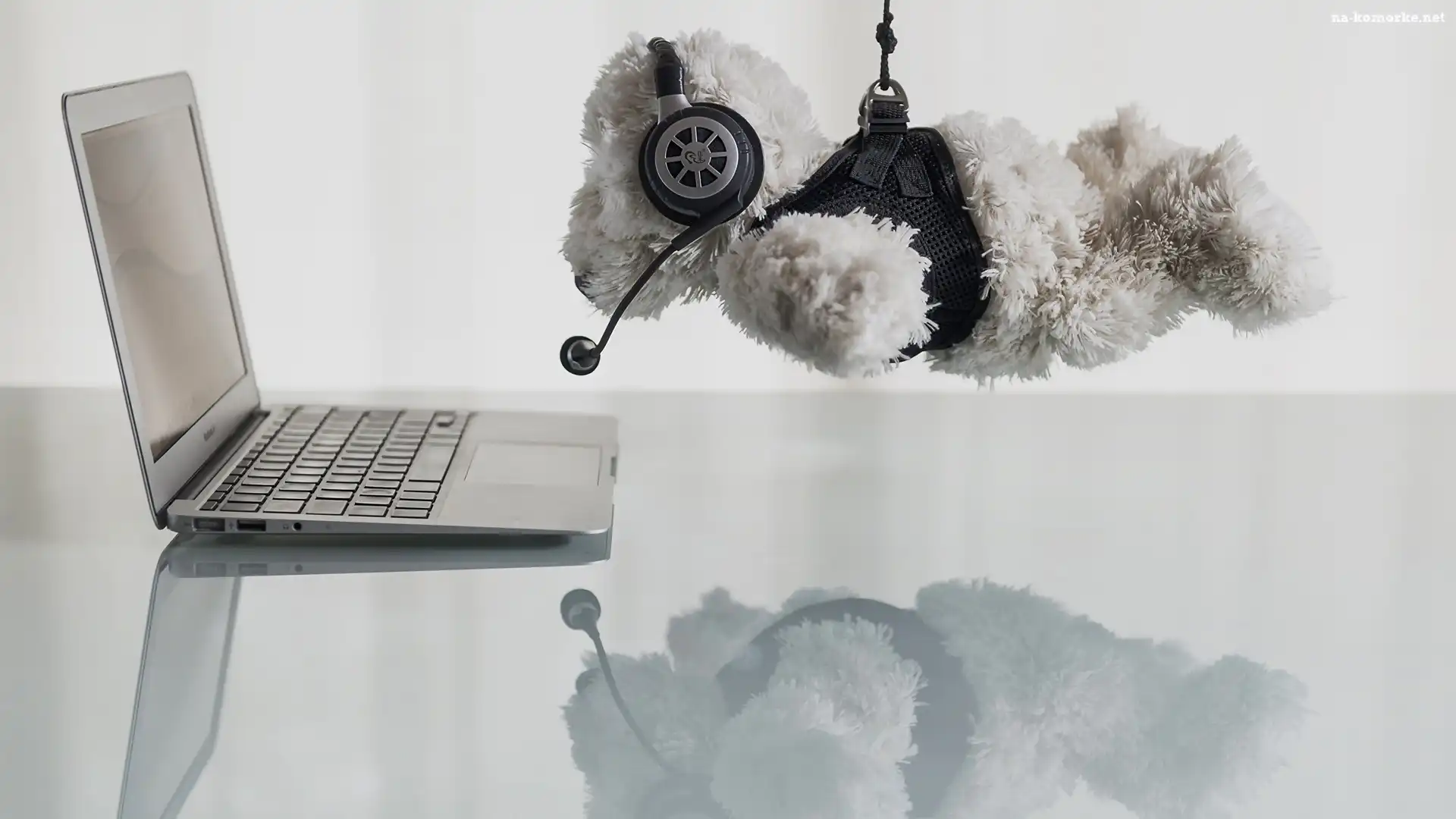 Laptop, Misiu, Zabawka