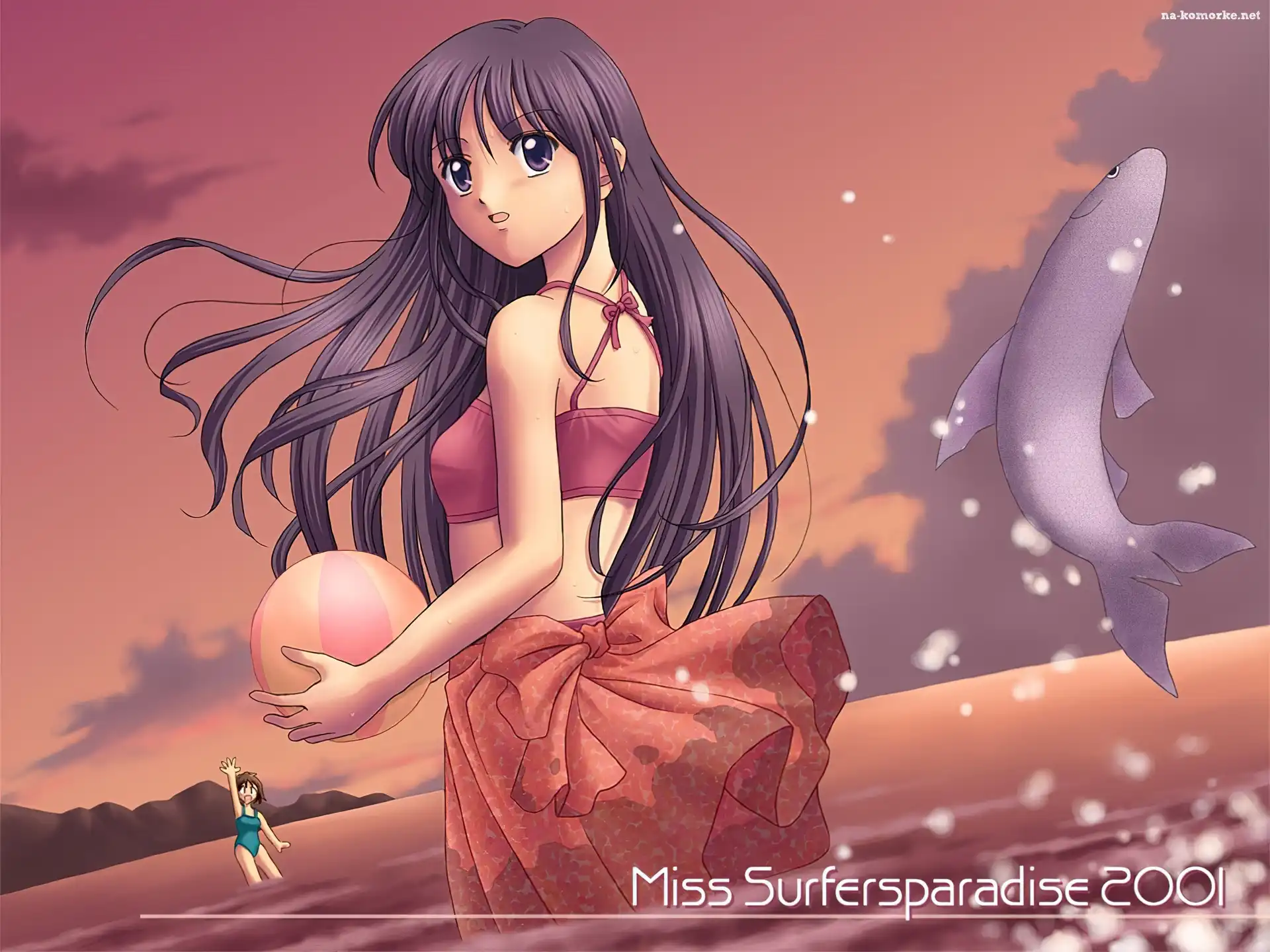 Miss Surfersparadise, delfin, piłka