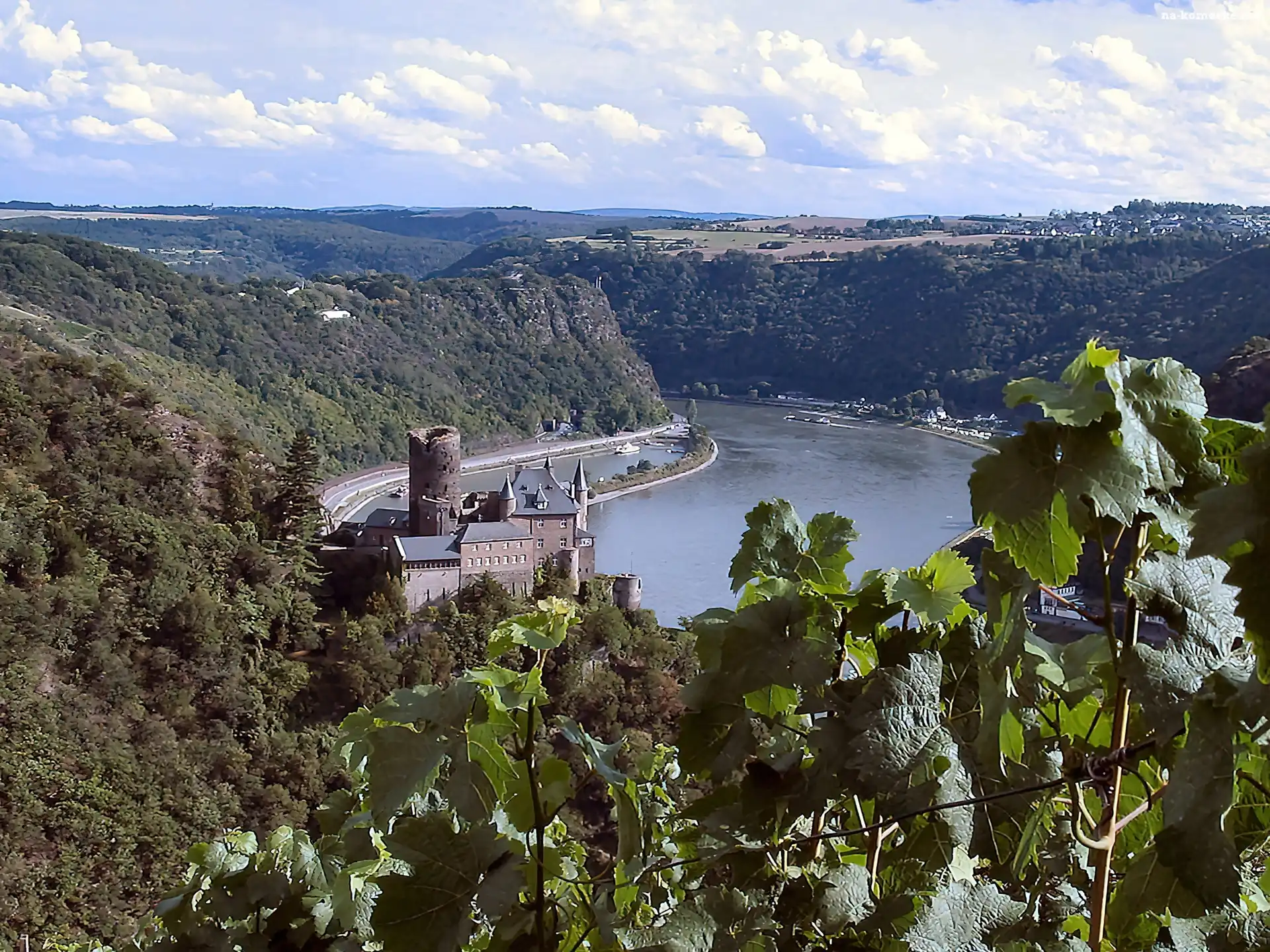 Mittelrhein Burg Katz, Góry, Drzewa, Woda