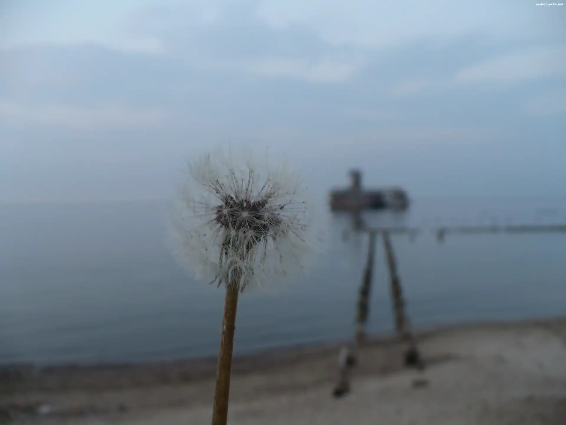 Mleczyk, Doły, Plaża, Babie