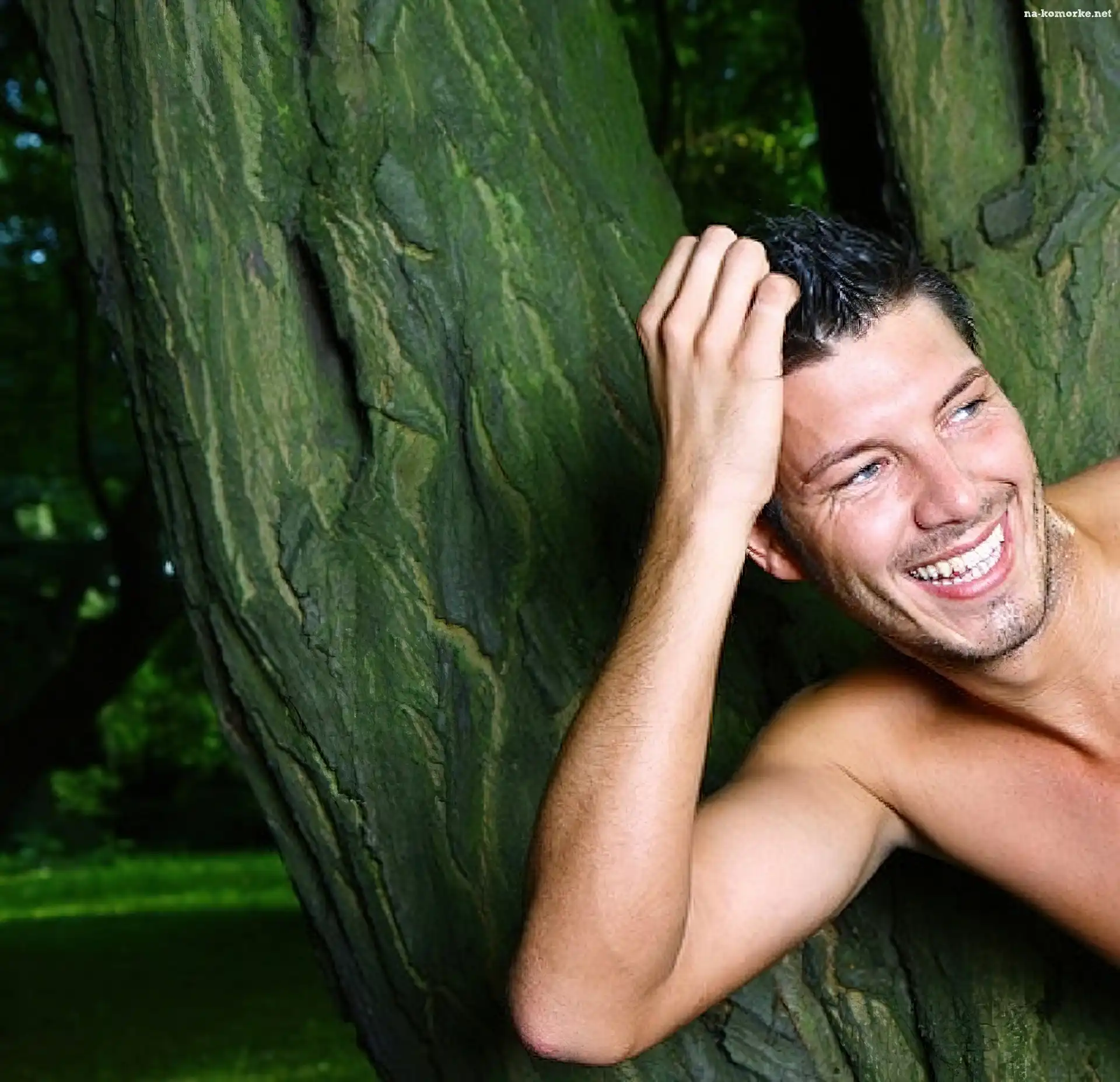 Mężczyzna, Model, Drzewo