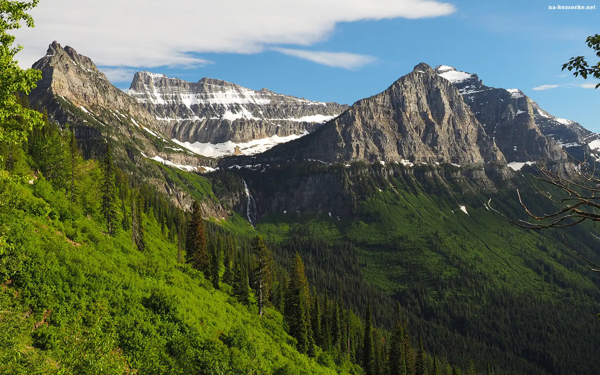 Stany Zjednoczone, Góry Skaliste, Lasy, Park Narodowy Glacier, Montana