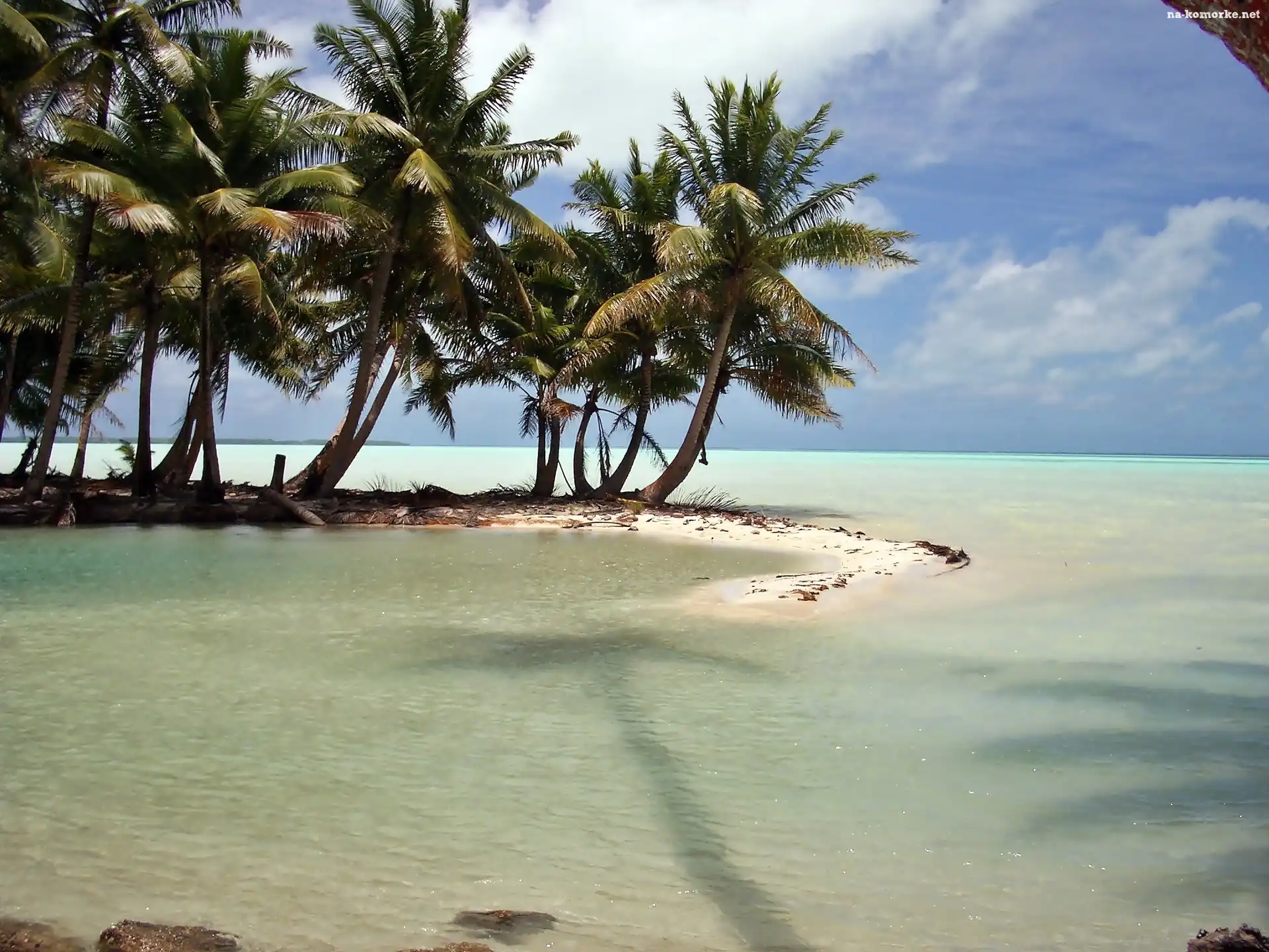 Morze, Kiribati, Laguna, Palmy