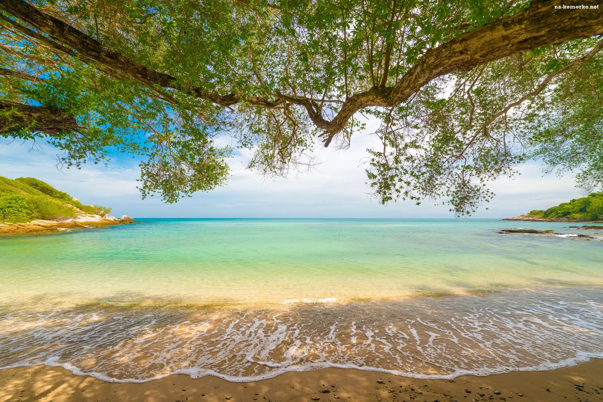 Morze, Drzewa, Plaża, Piasek
