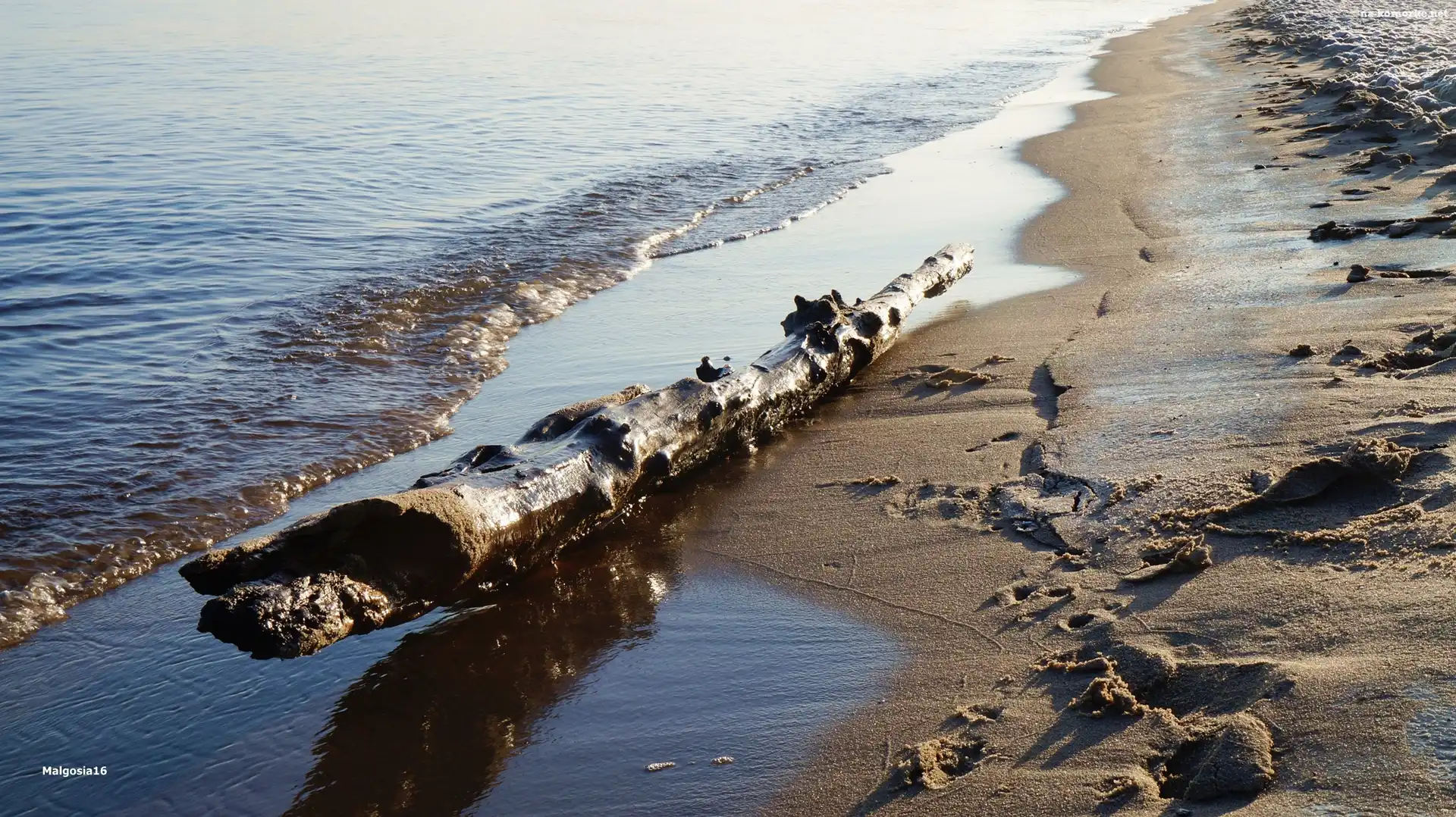 Morze, Kłoda, Plaża, Drewniana