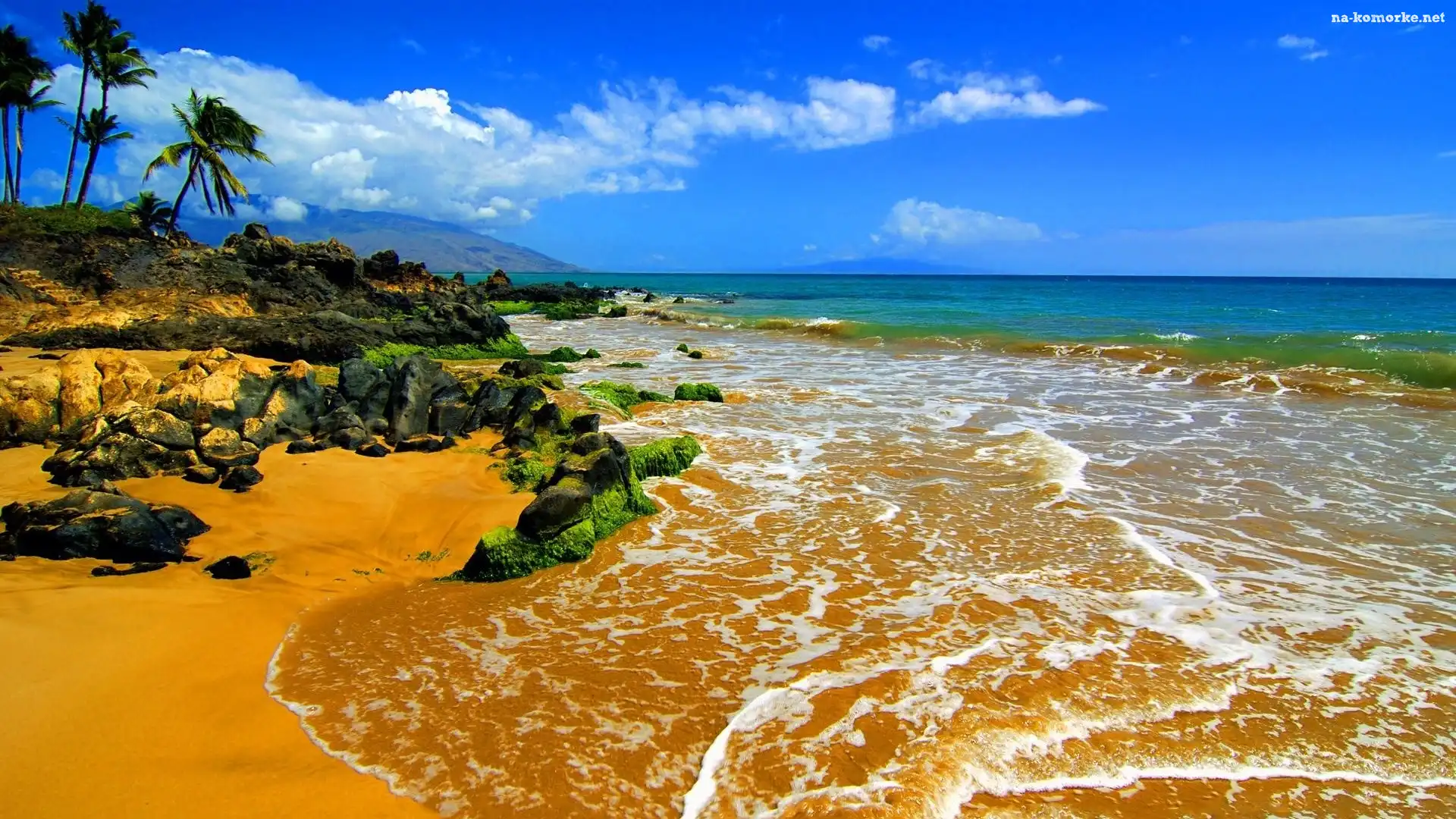 Morze, Wybrzeże, Plaża, Palmy