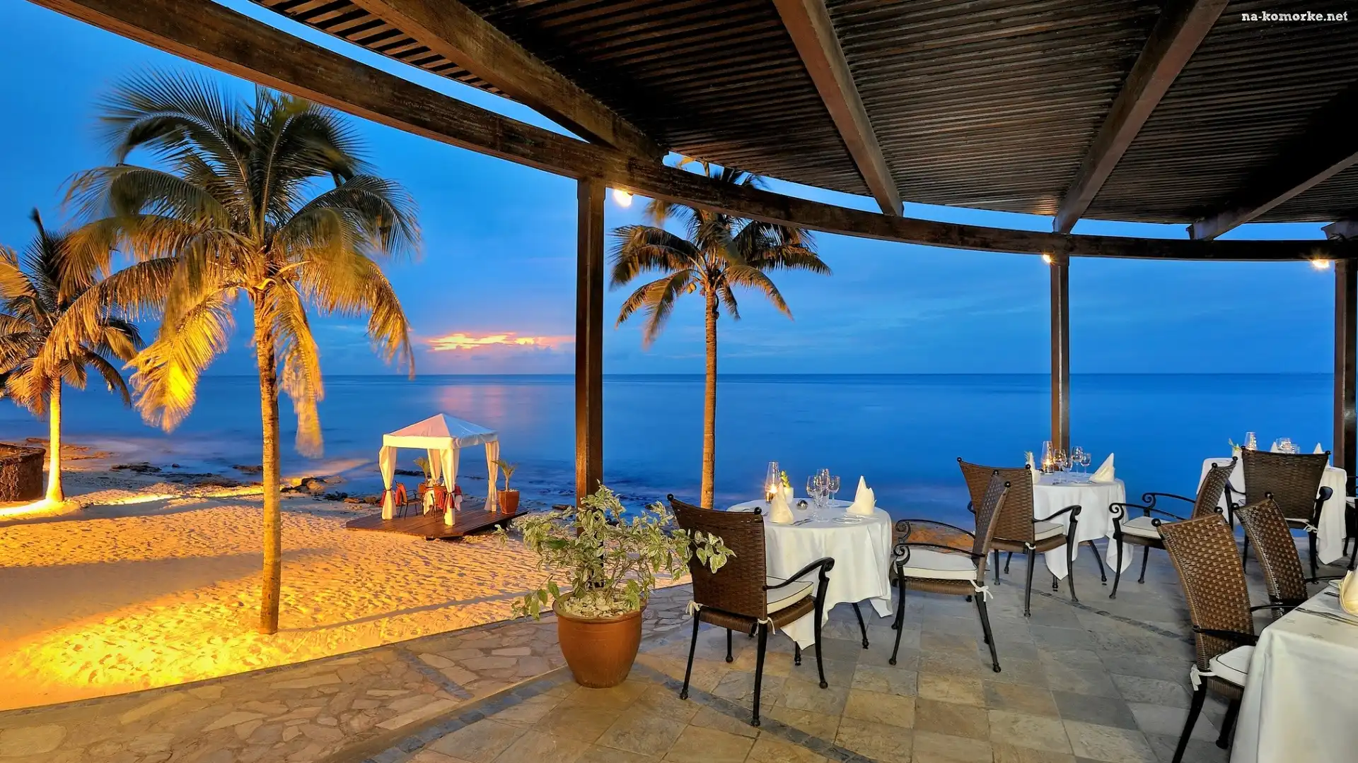 Restauracja, Morze, Palmy