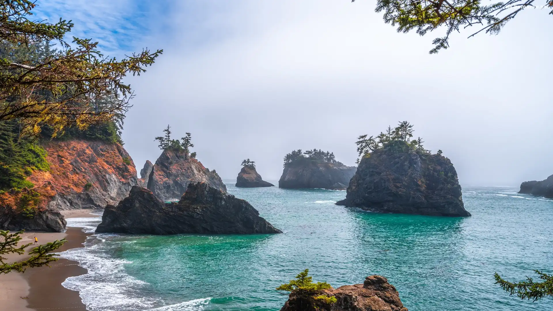 Skały, Oregon, Stany Zjednoczone, Morze, Drzewa, Park stanowy, Samuel H Boardman State Scenic Corridor