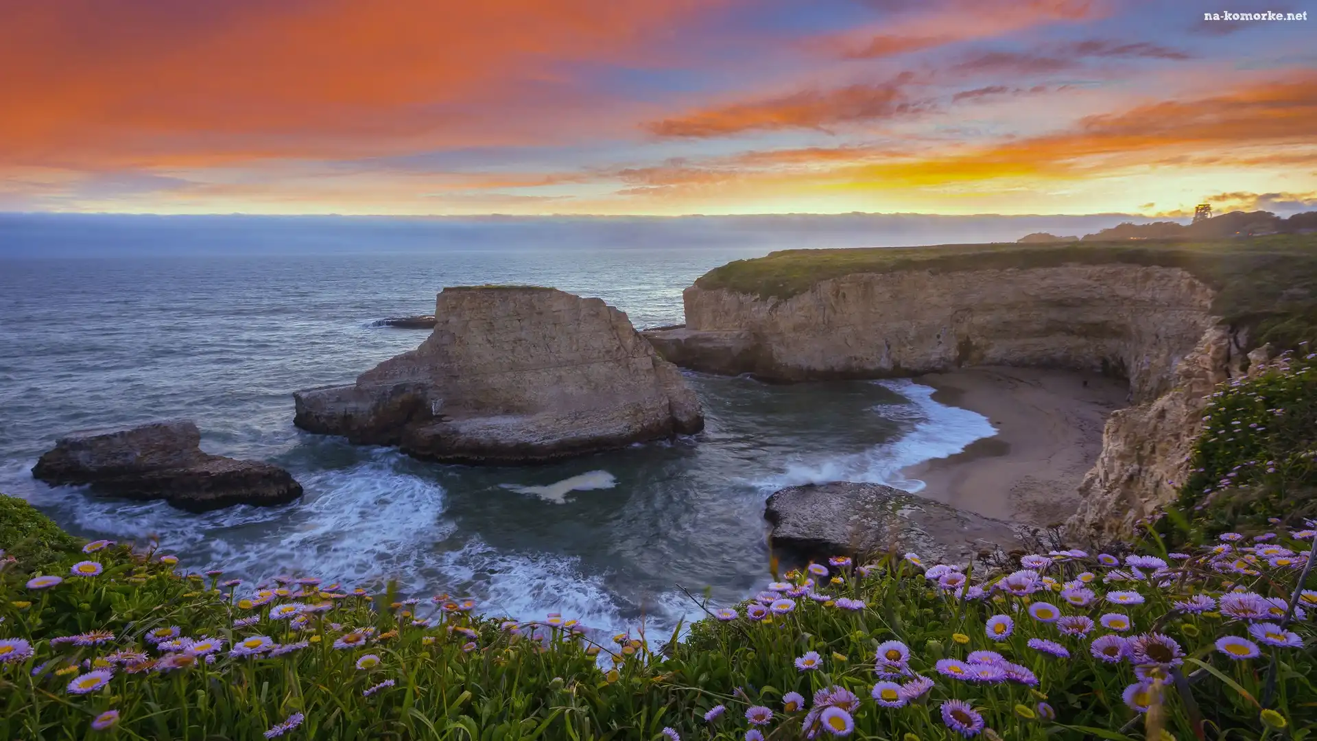 Morze, Kwiaty, Skały, Ocean Spokojny, Stany Zjednoczone, Plaża Shark Fin Cove, Hrabstwo Santa Cruz, Wybrzeże, Kalifornia, Zachód słońca, Davenport