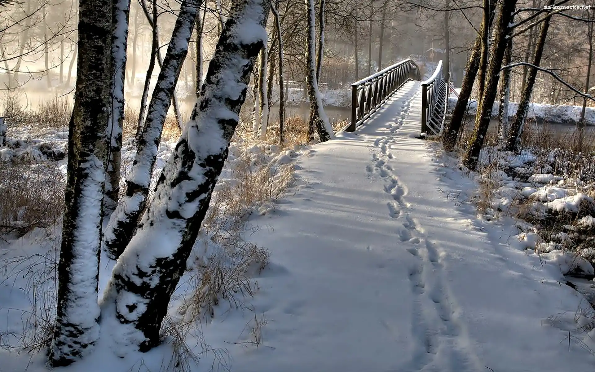 Zima, Most, Ślady, Śnieg, Park, Drzewa, Drewniany