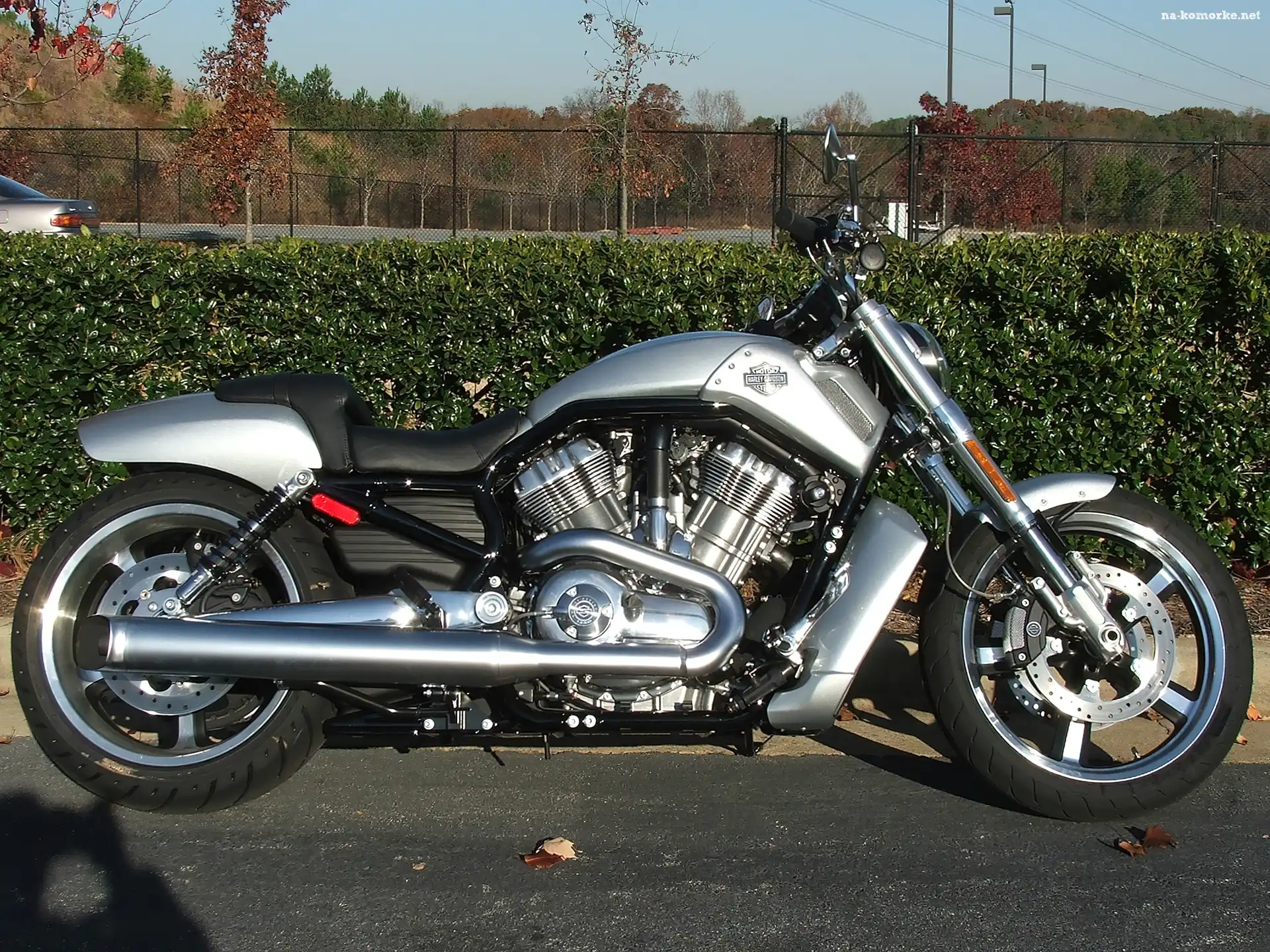 Srebrny, Harley Davidson V-Rod Muscle, Motocykl