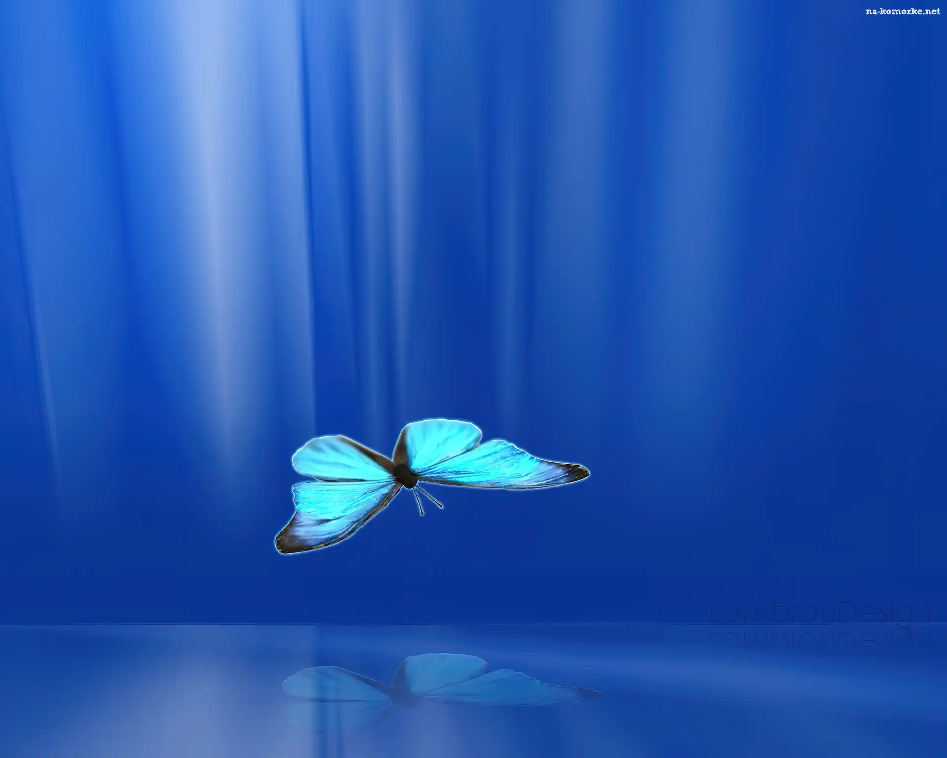 Motyl