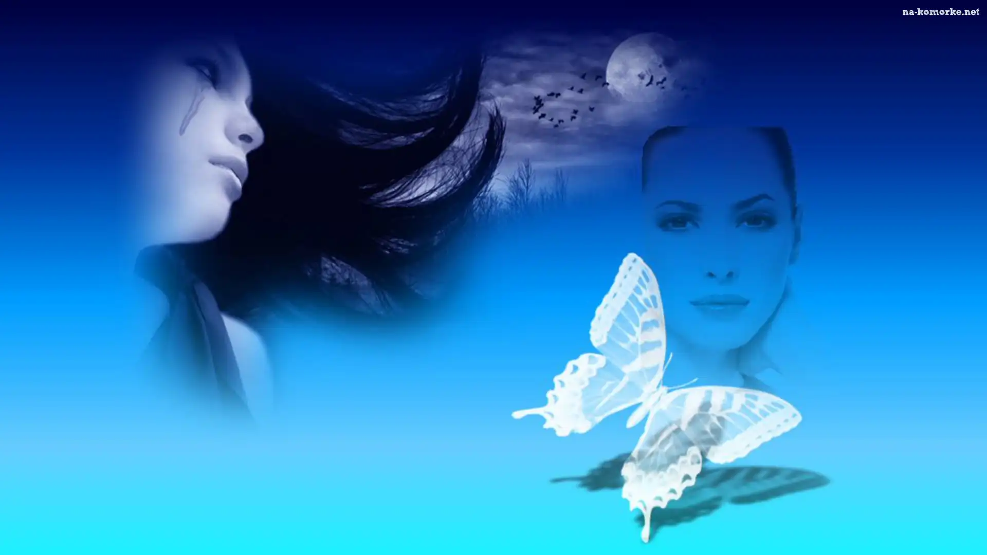 Kobieta, Motyl, Planeta