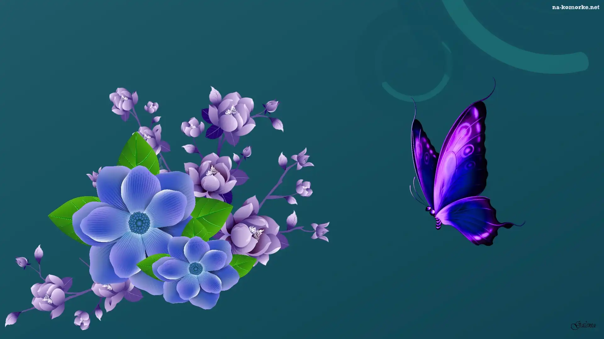 Kwiaty, Motyl, Grafika